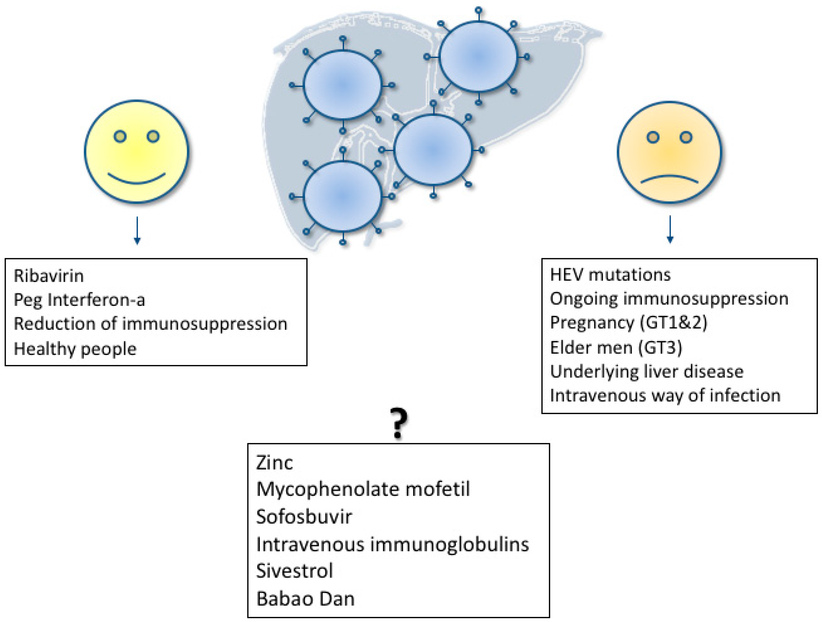 Viruses 11 00617 g002