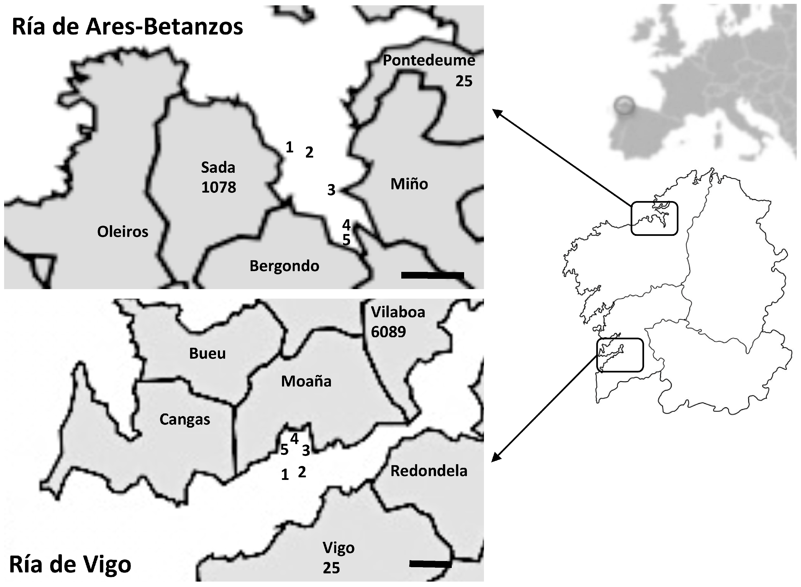 Viruses 11 00618 g001