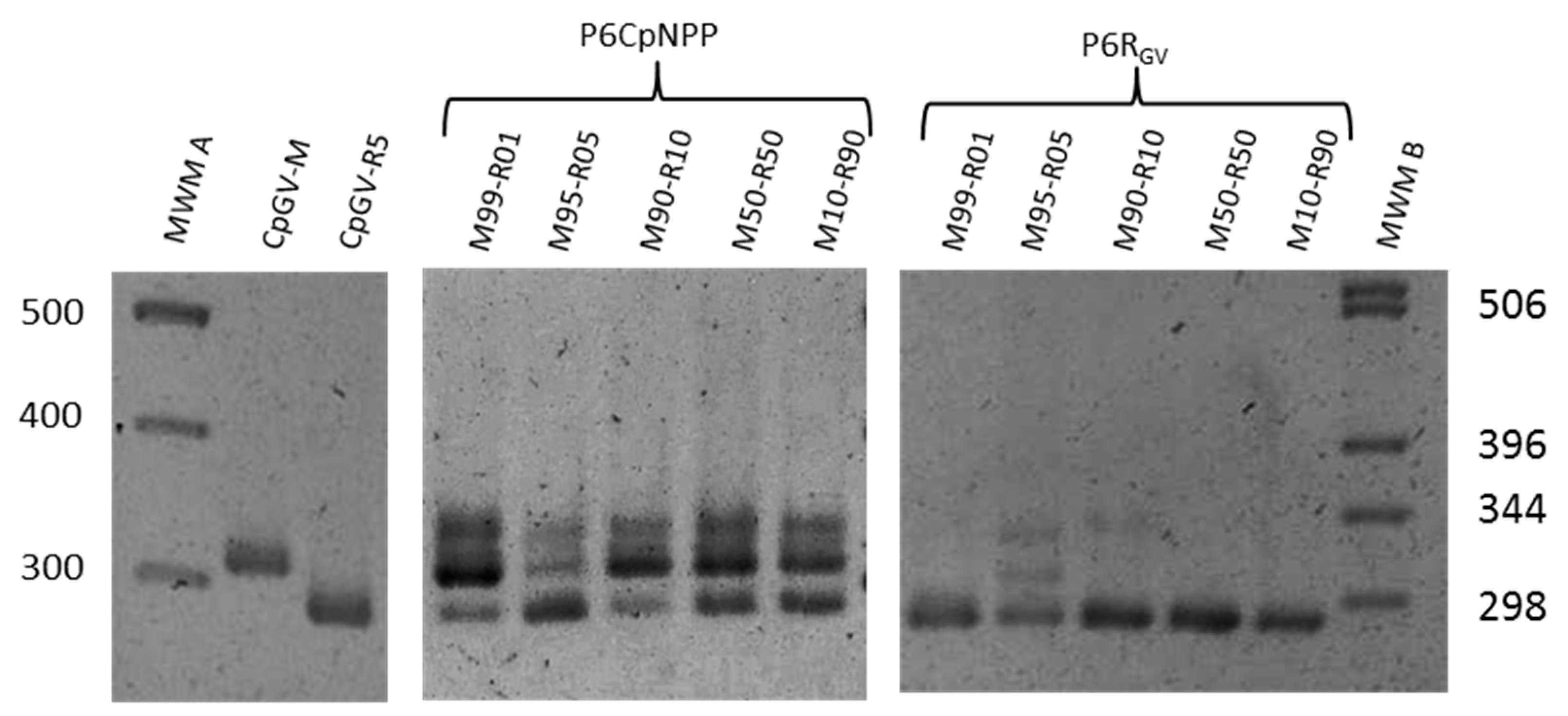 Viruses 11 00621 g004