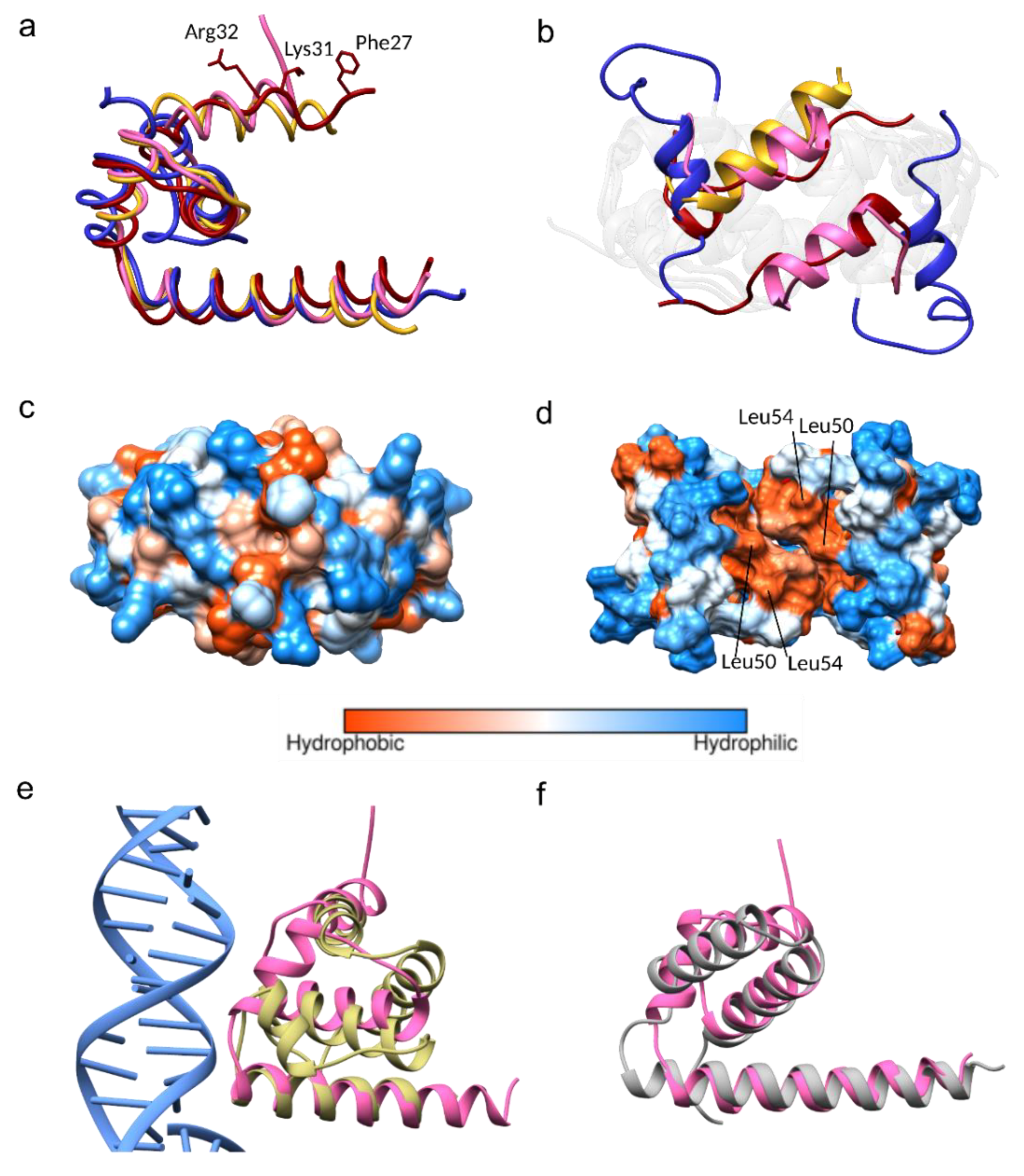 Viruses 11 00623 g003