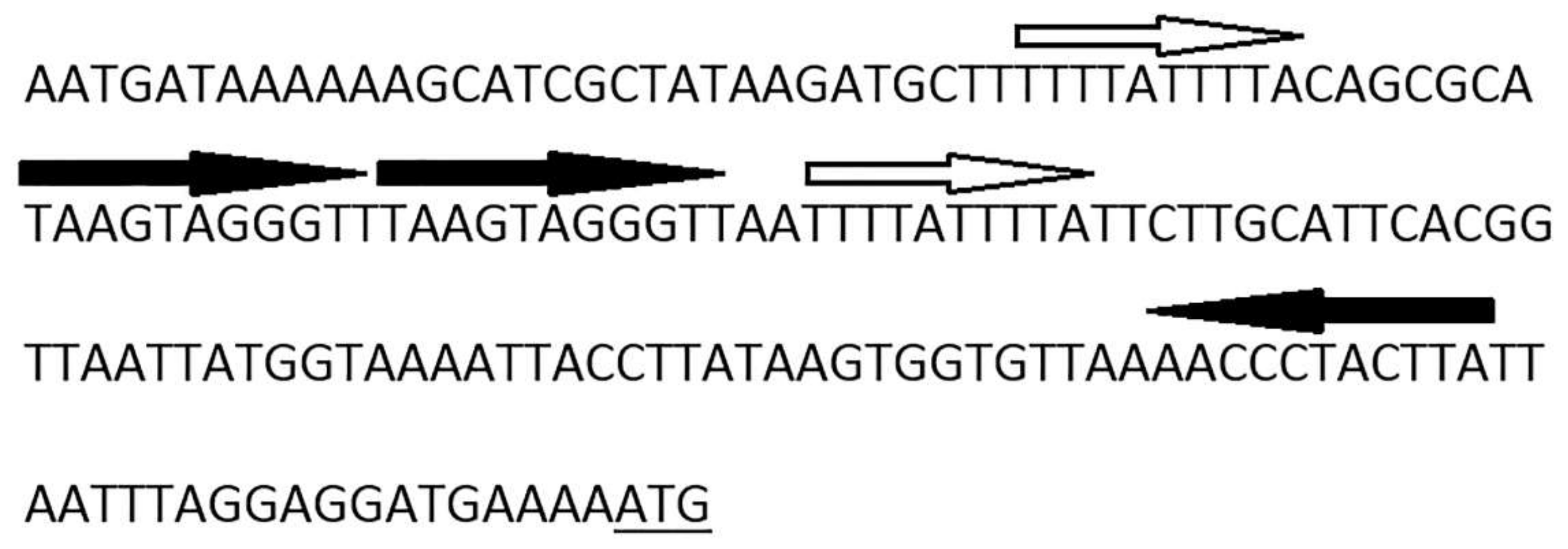 Viruses 11 00624 g003 Viruses 11 00624 g003