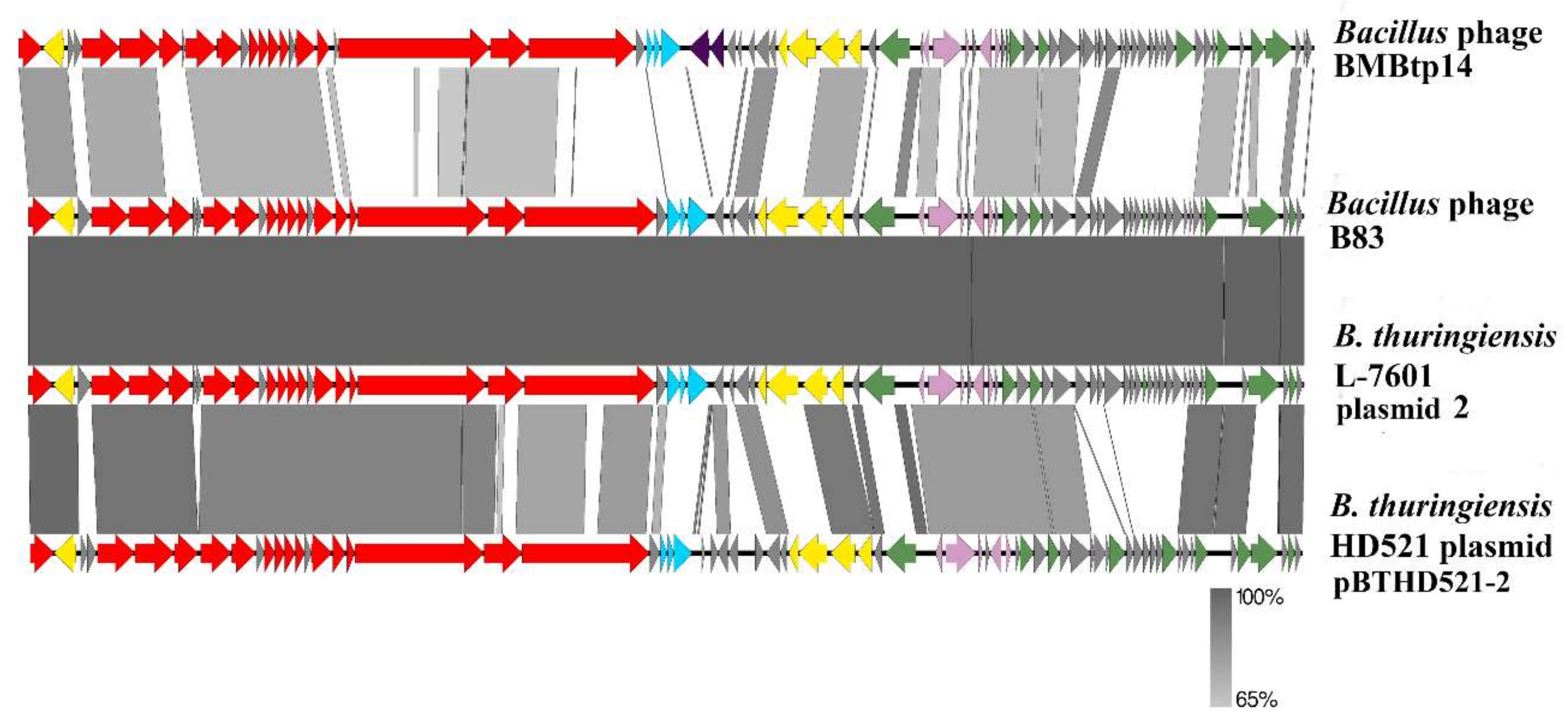Viruses 11 00624 g004 Viruses 11 00624 g004