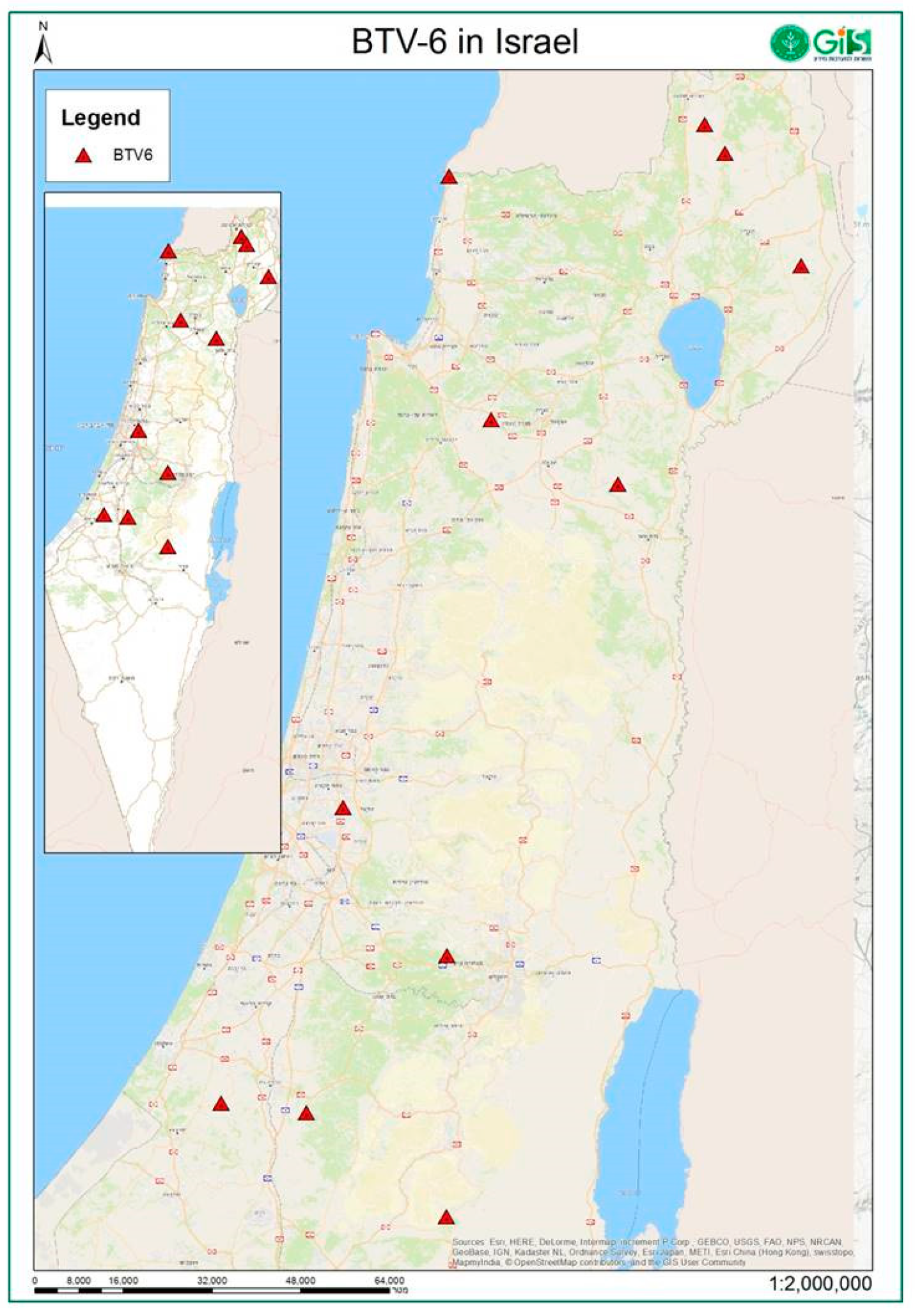 Viruses 11 00633 g001