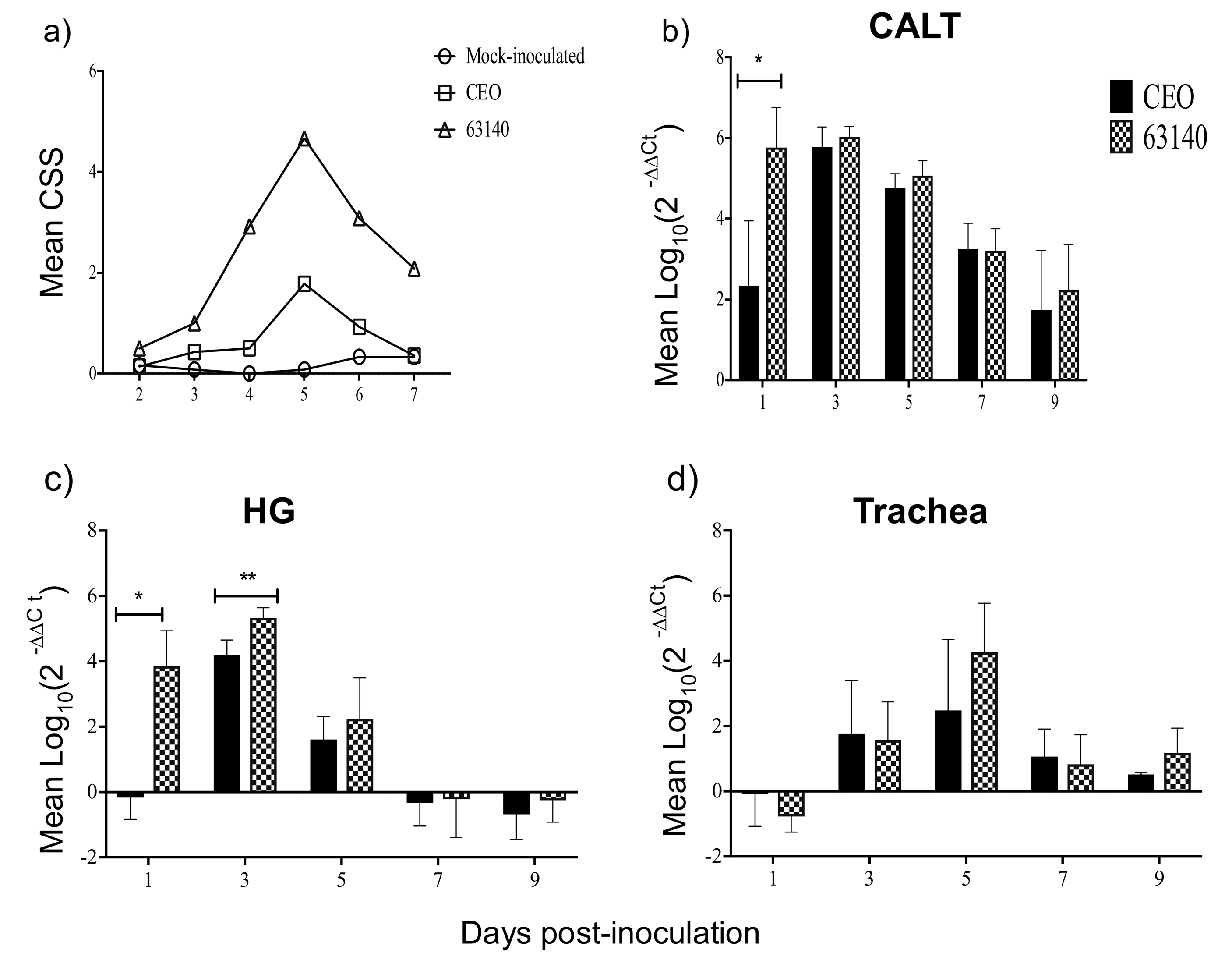 Viruses 11 00635 g002 Viruses 11 00635 g002