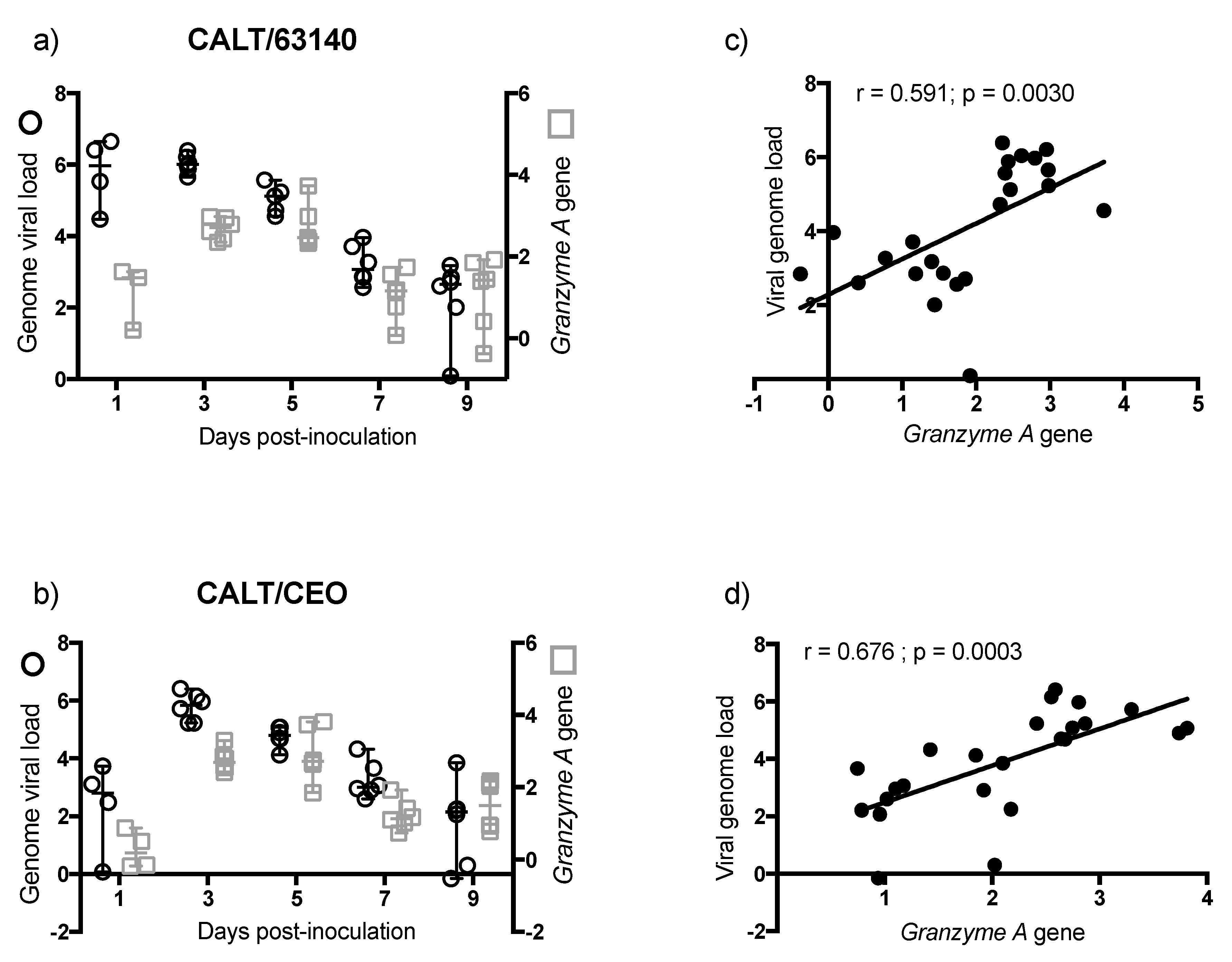 Viruses 11 00635 g006 Viruses 11 00635 g006