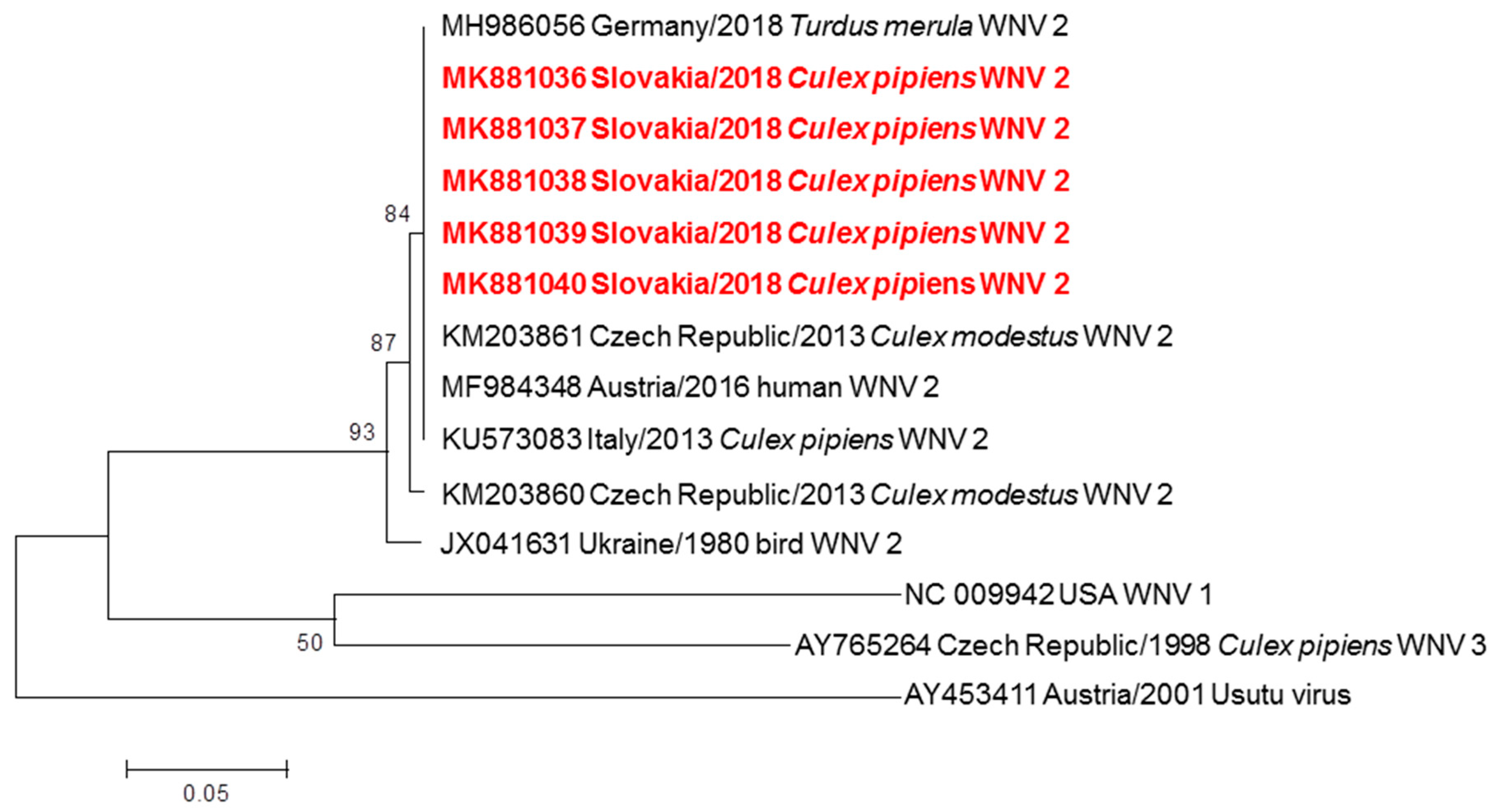 Viruses 11 00639 g002