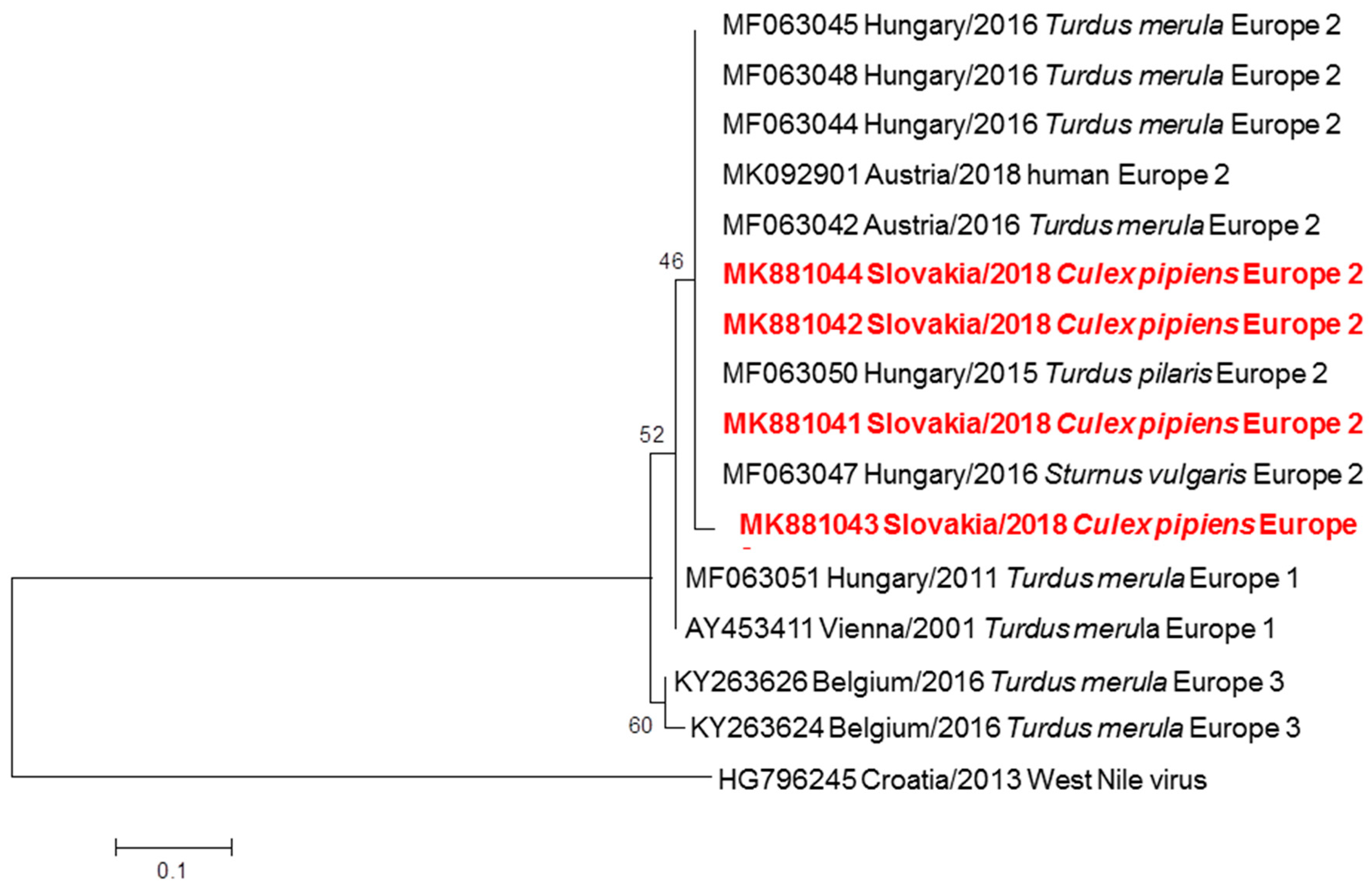 Viruses 11 00639 g003