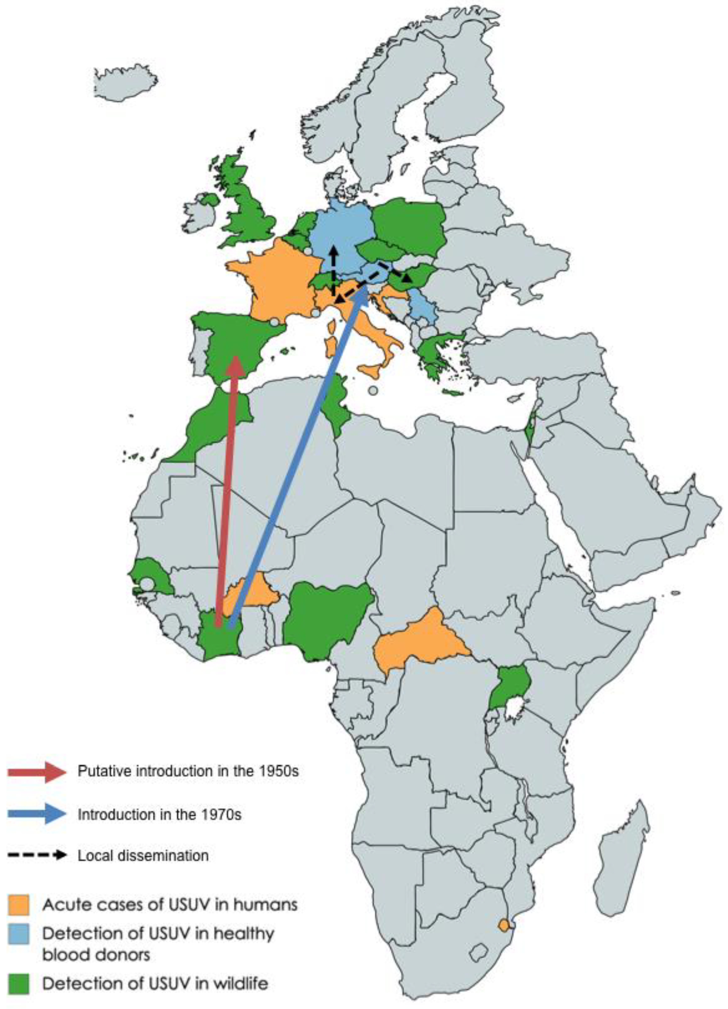 Viruses 11 00640 g002