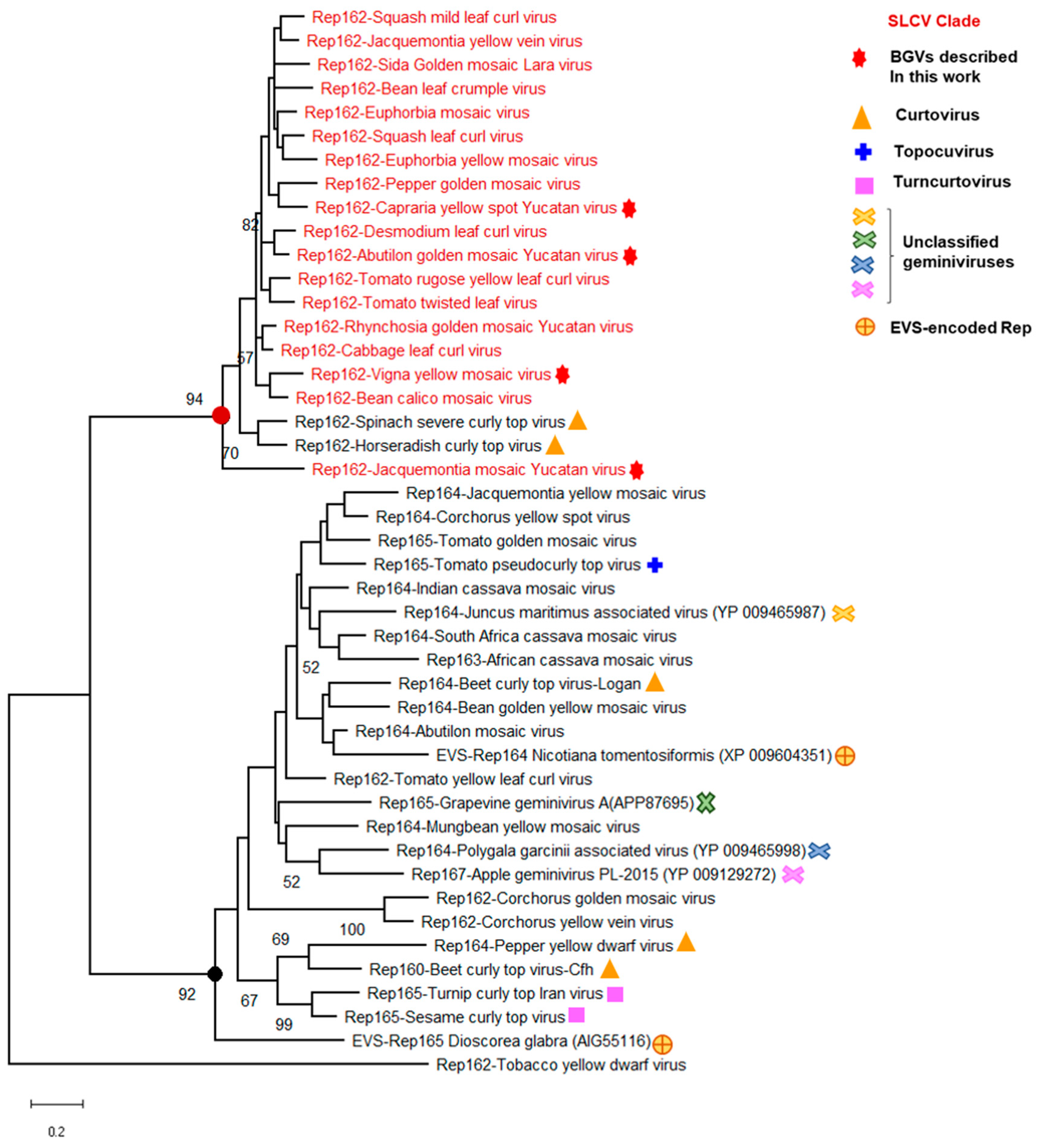Viruses 11 00644 g004 Viruses 11 00644 g004