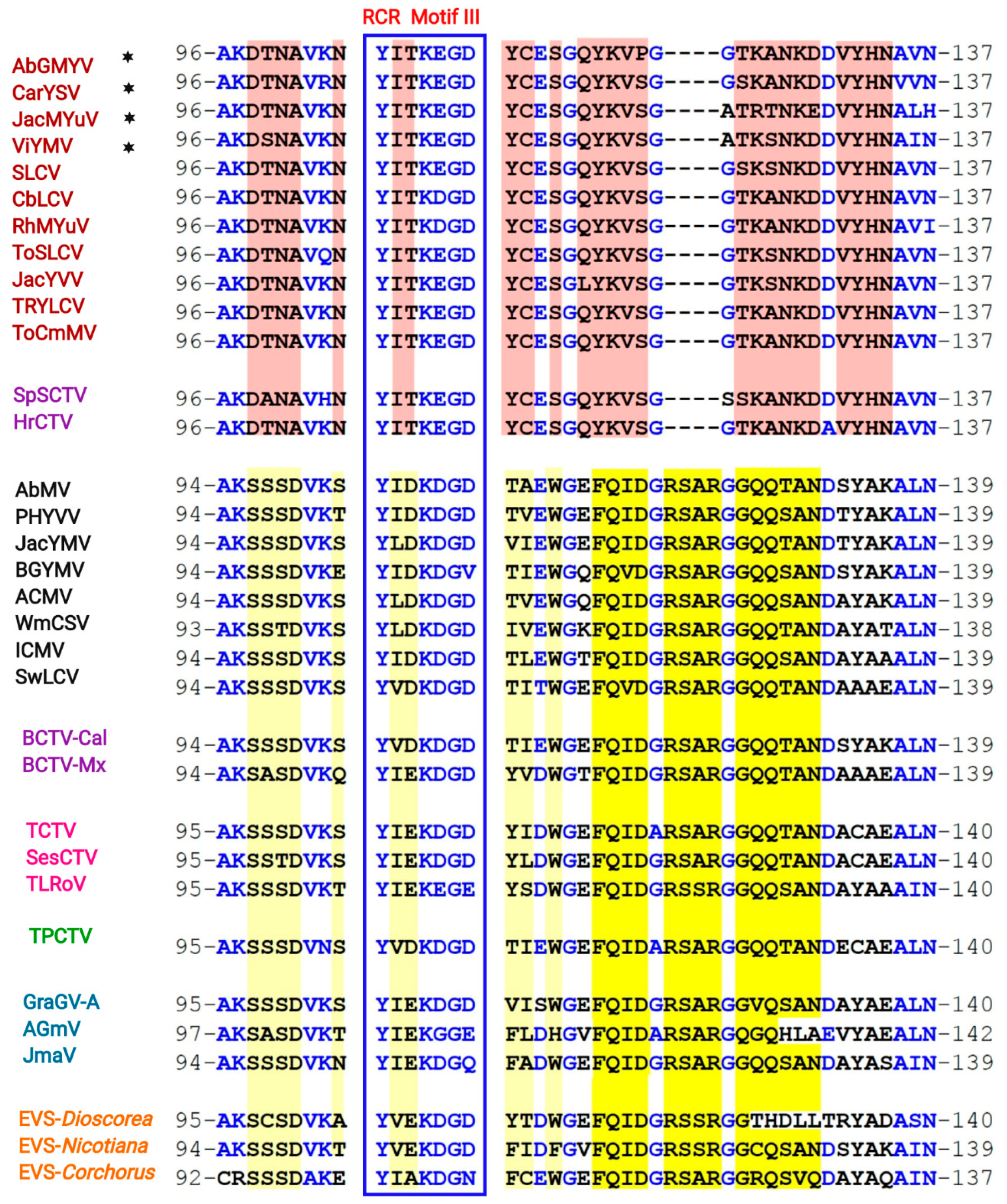 Viruses 11 00644 g006 Viruses 11 00644 g006