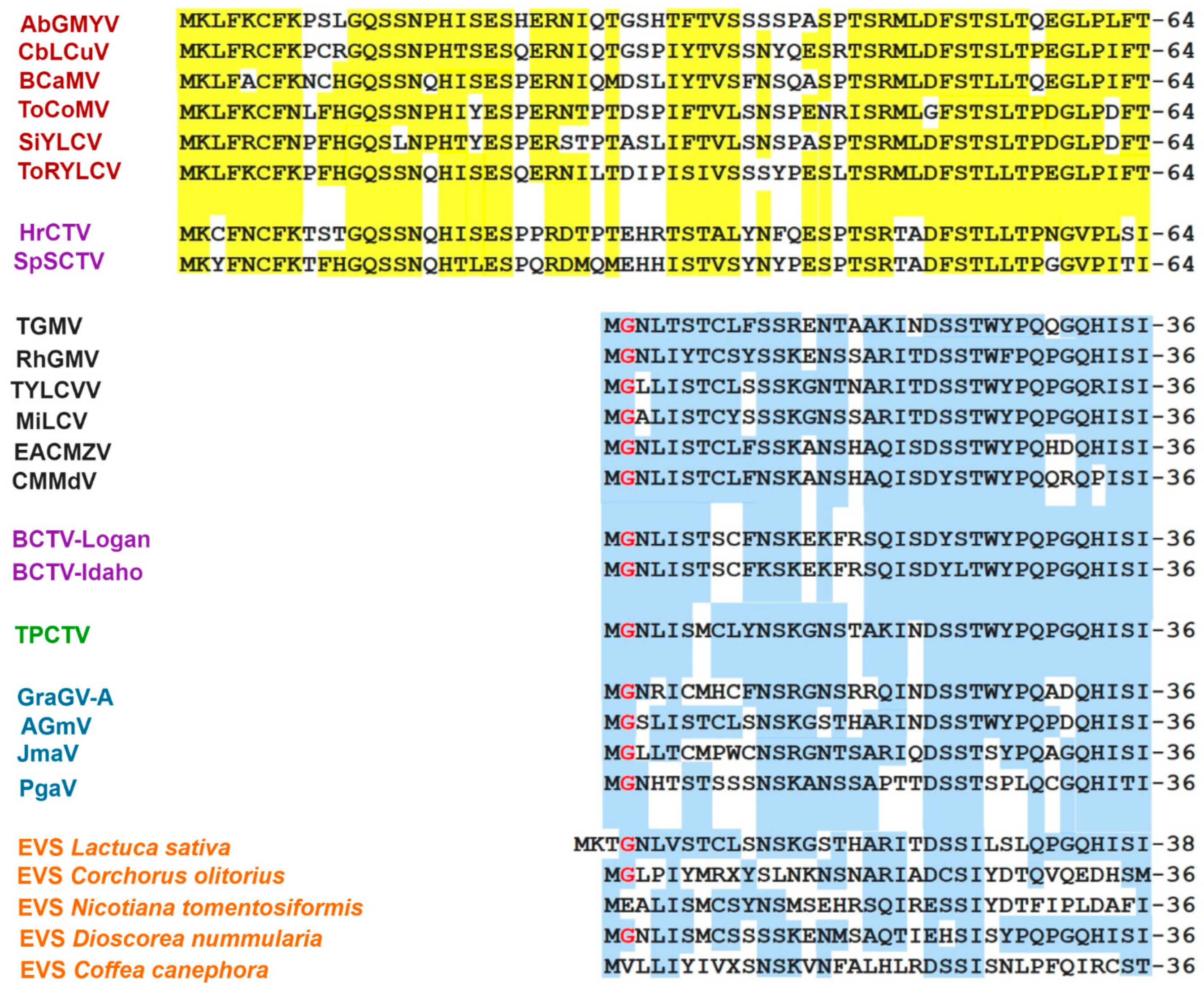 Viruses 11 00644 g007 Viruses 11 00644 g007