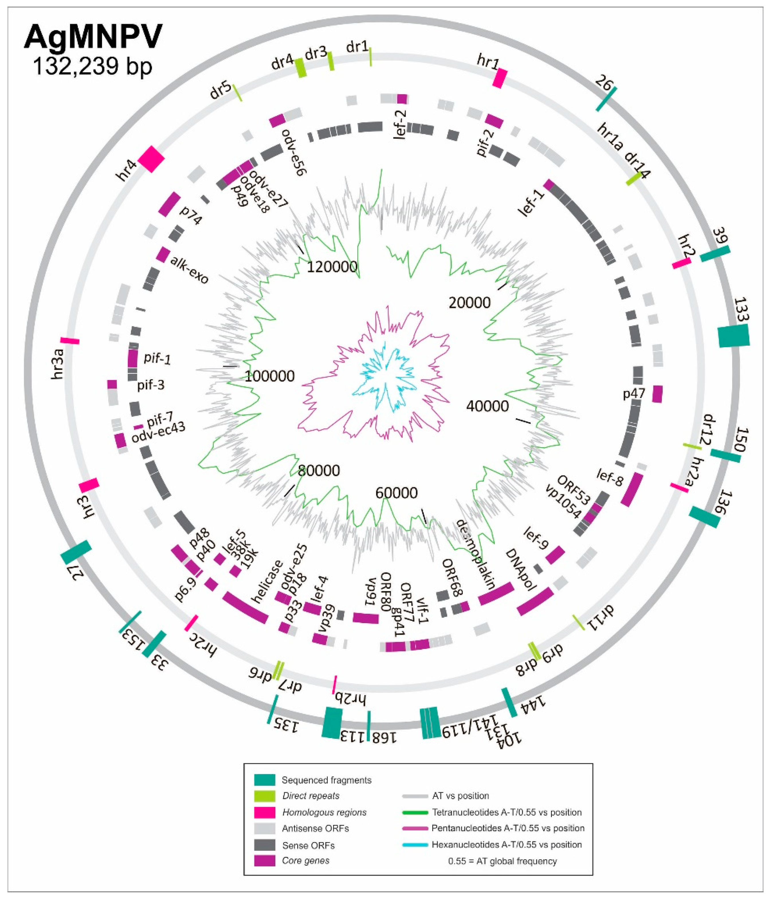 Viruses 11 00648 g002 Viruses 11 00648 g002