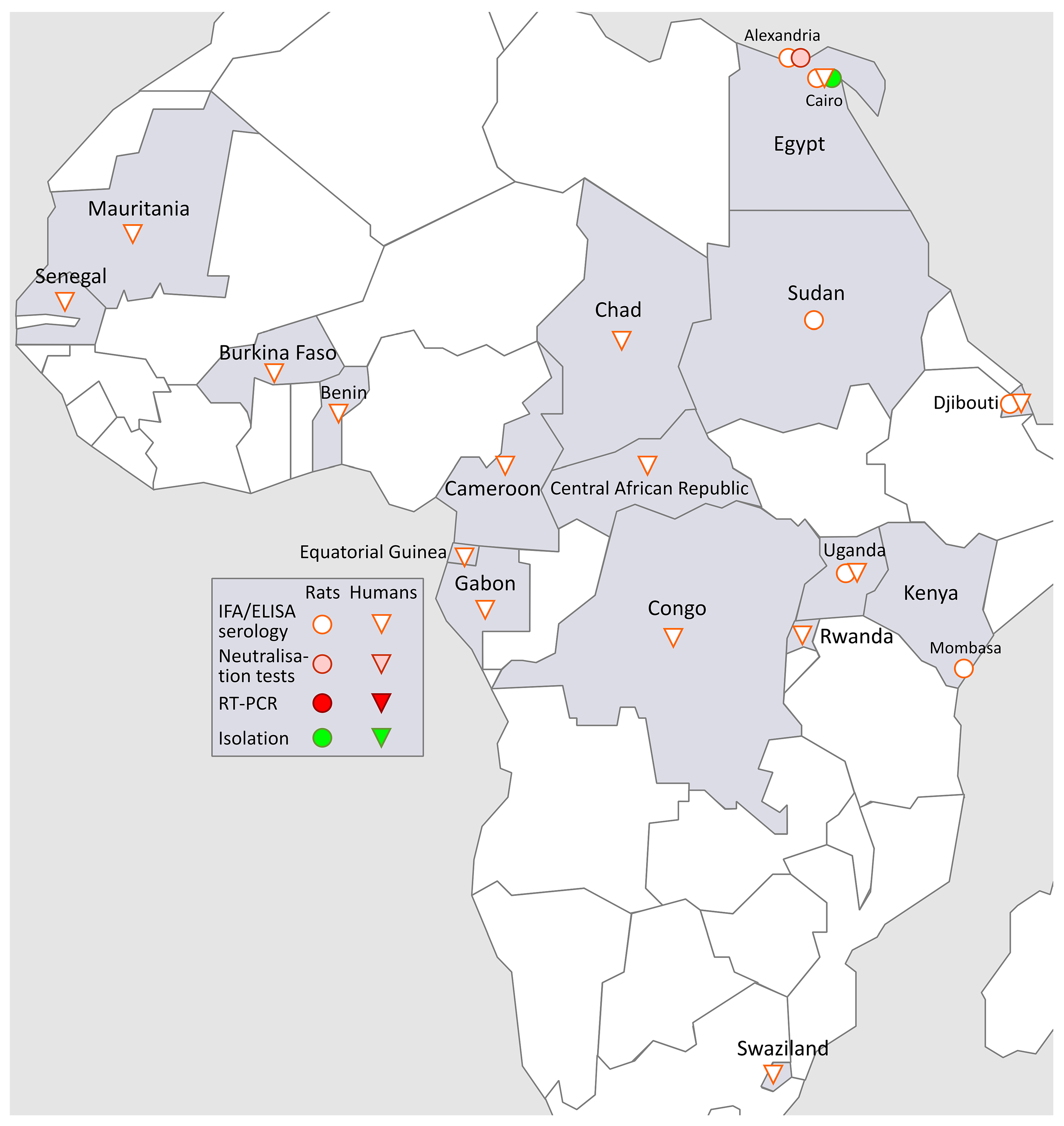 Viruses 11 00652 g004