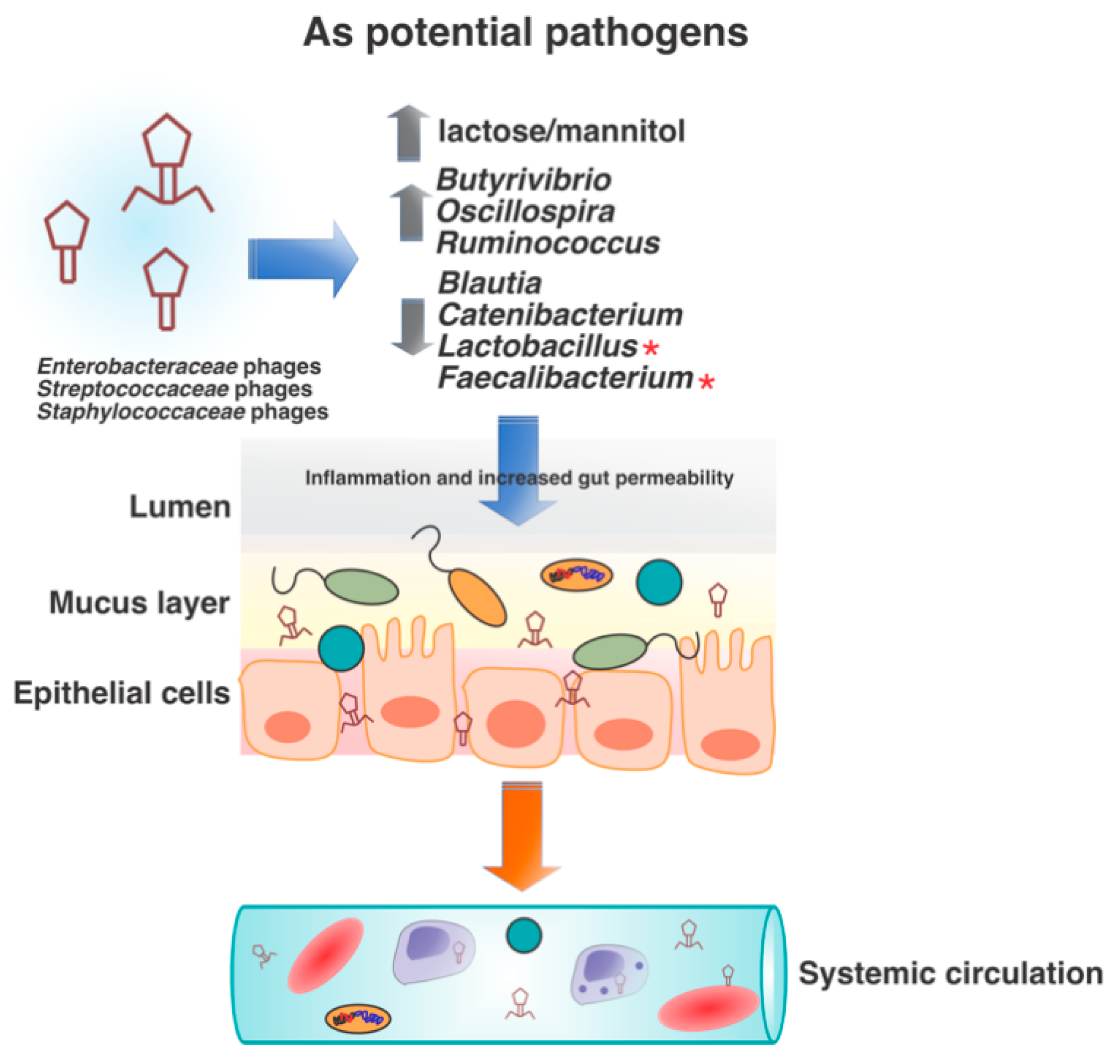 Viruses 11 00656 g004
