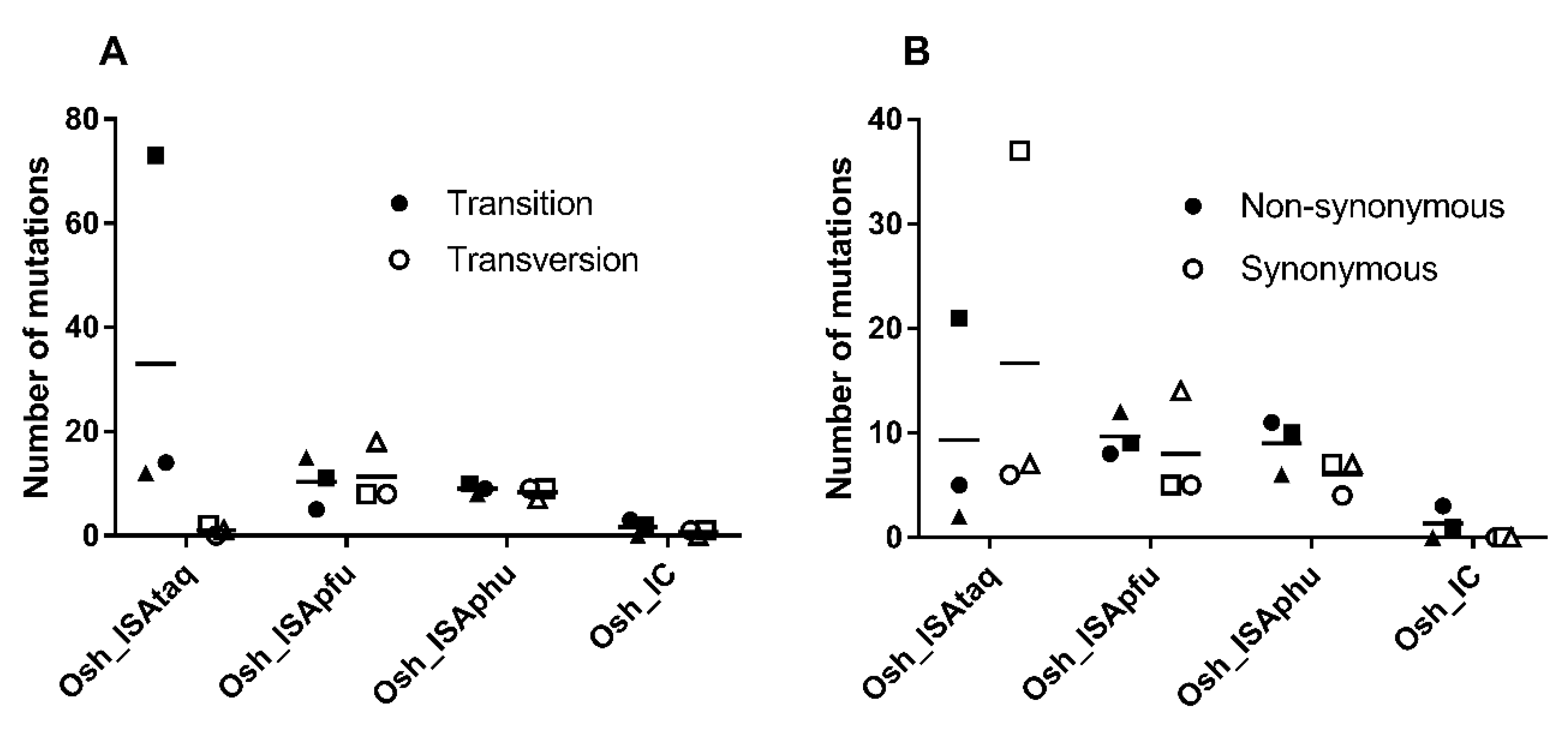 Viruses 11 00666 g002