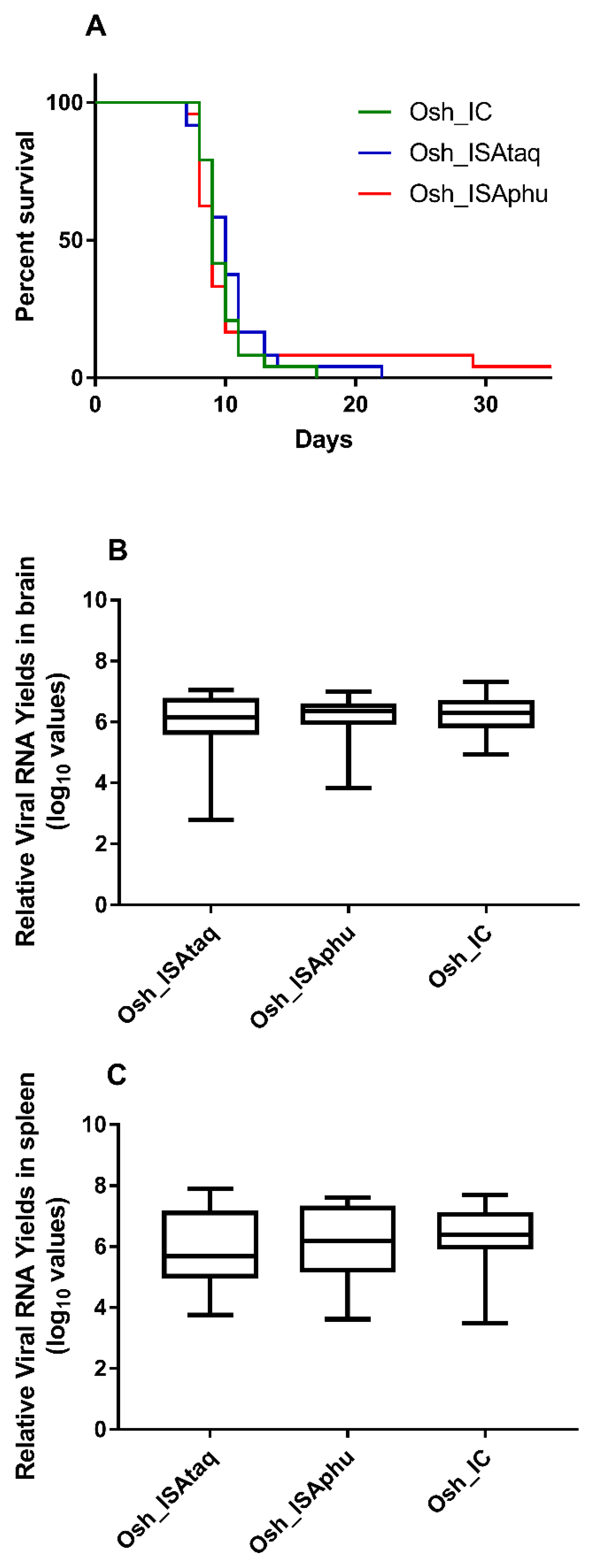 Viruses 11 00666 g004