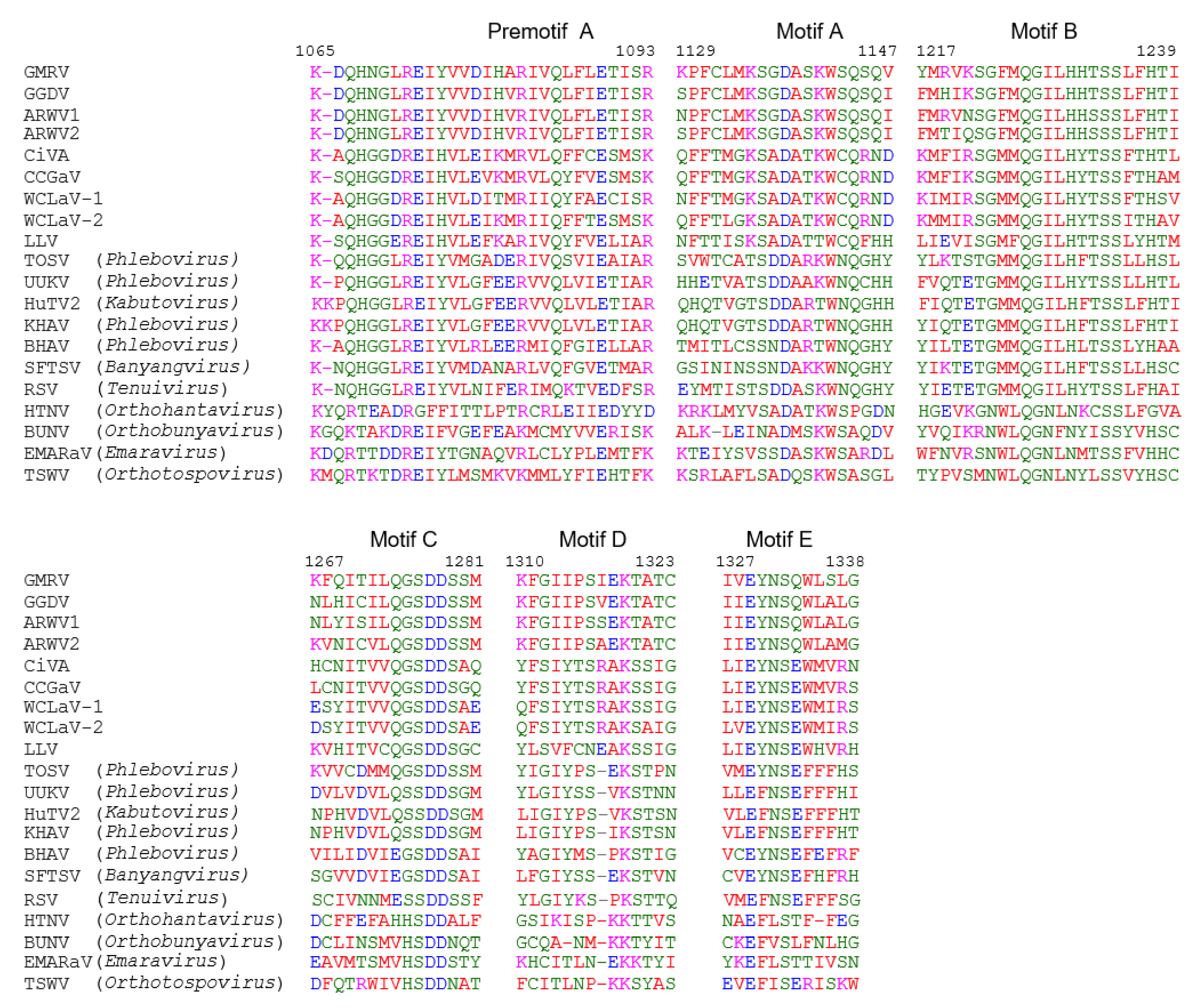 Viruses 11 00685 g003 Viruses 11 00685 g003