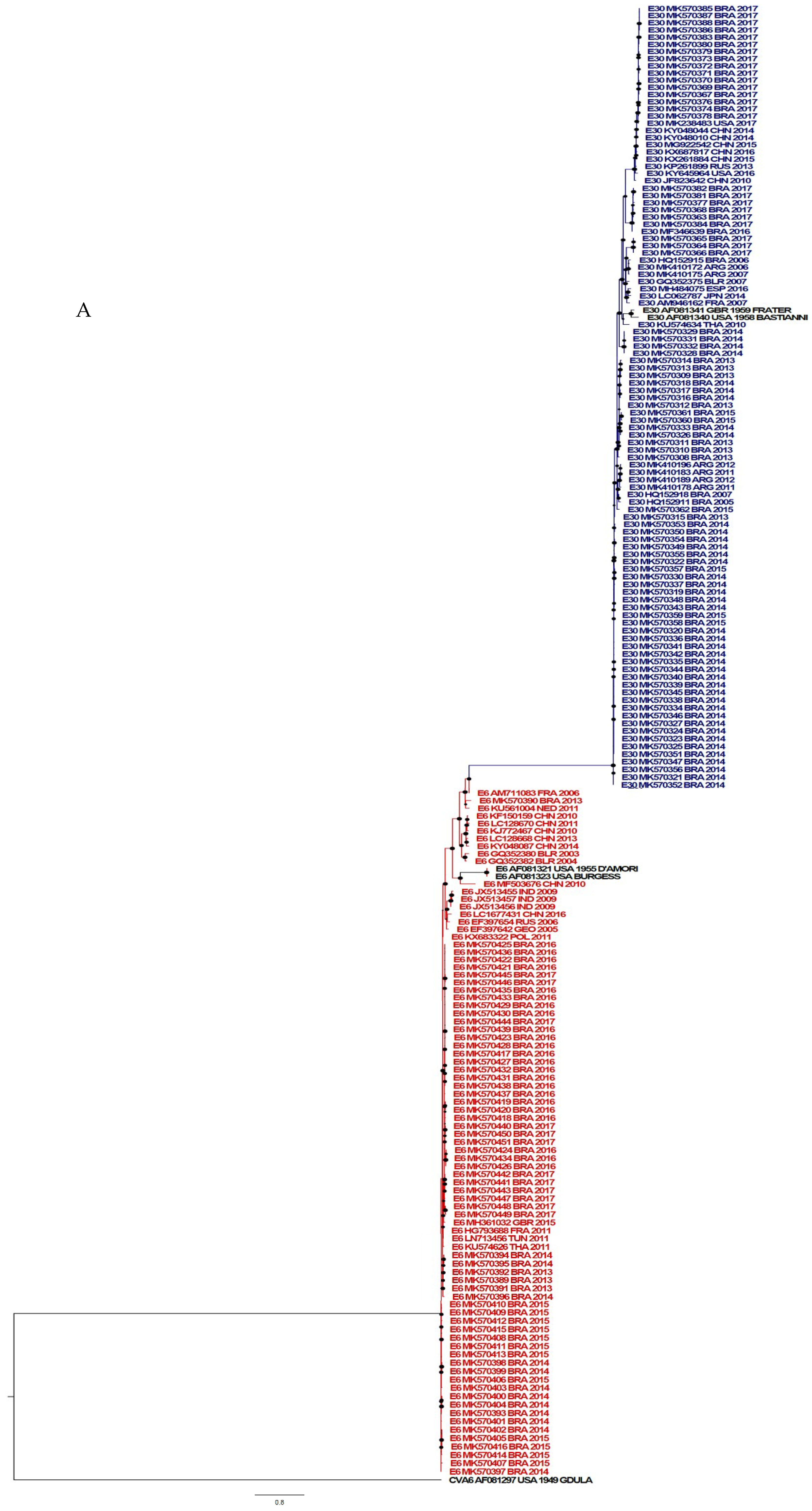 Viruses 11 00690 g004a Viruses 11 00690 g004a