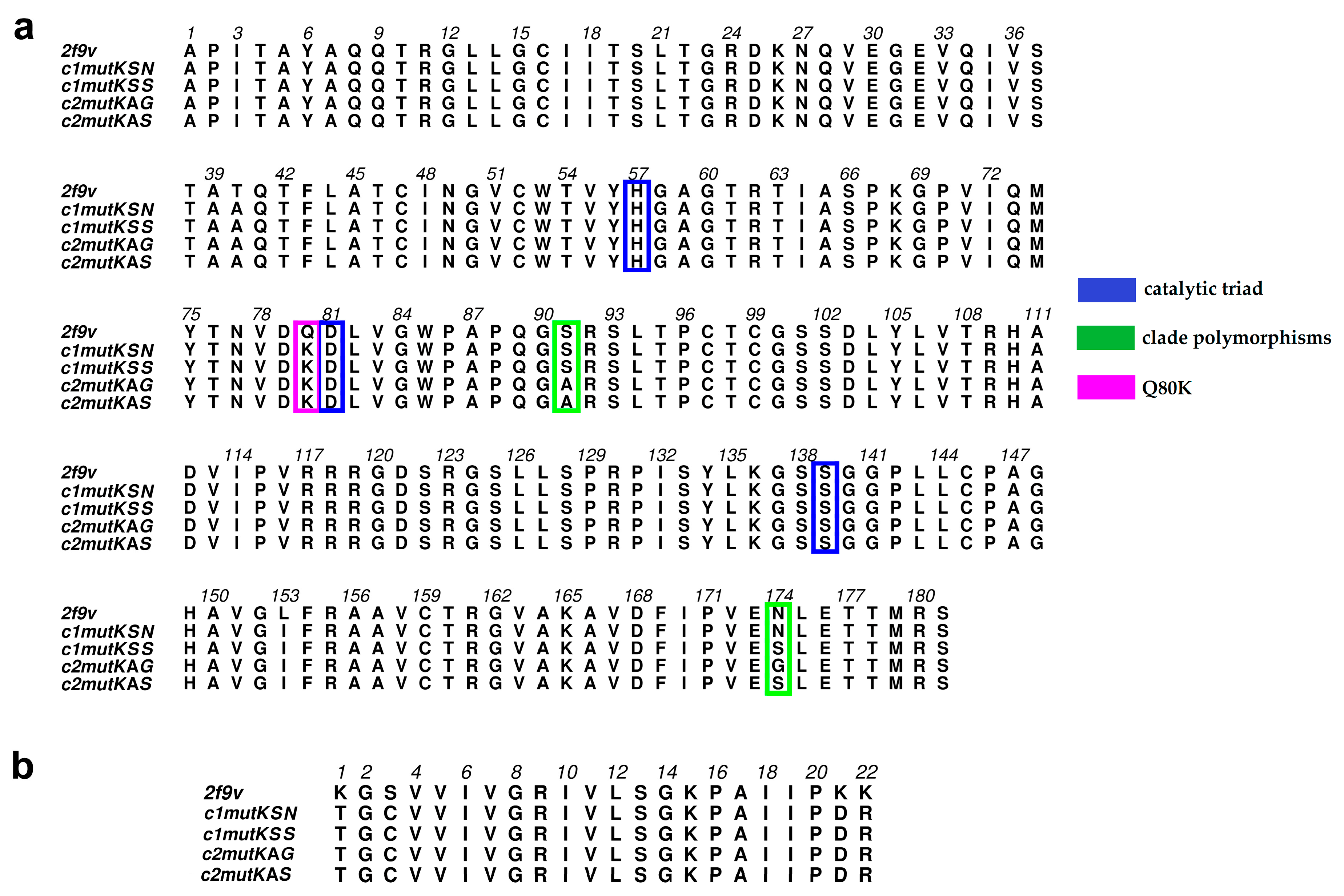 Viruses 11 00691 g001