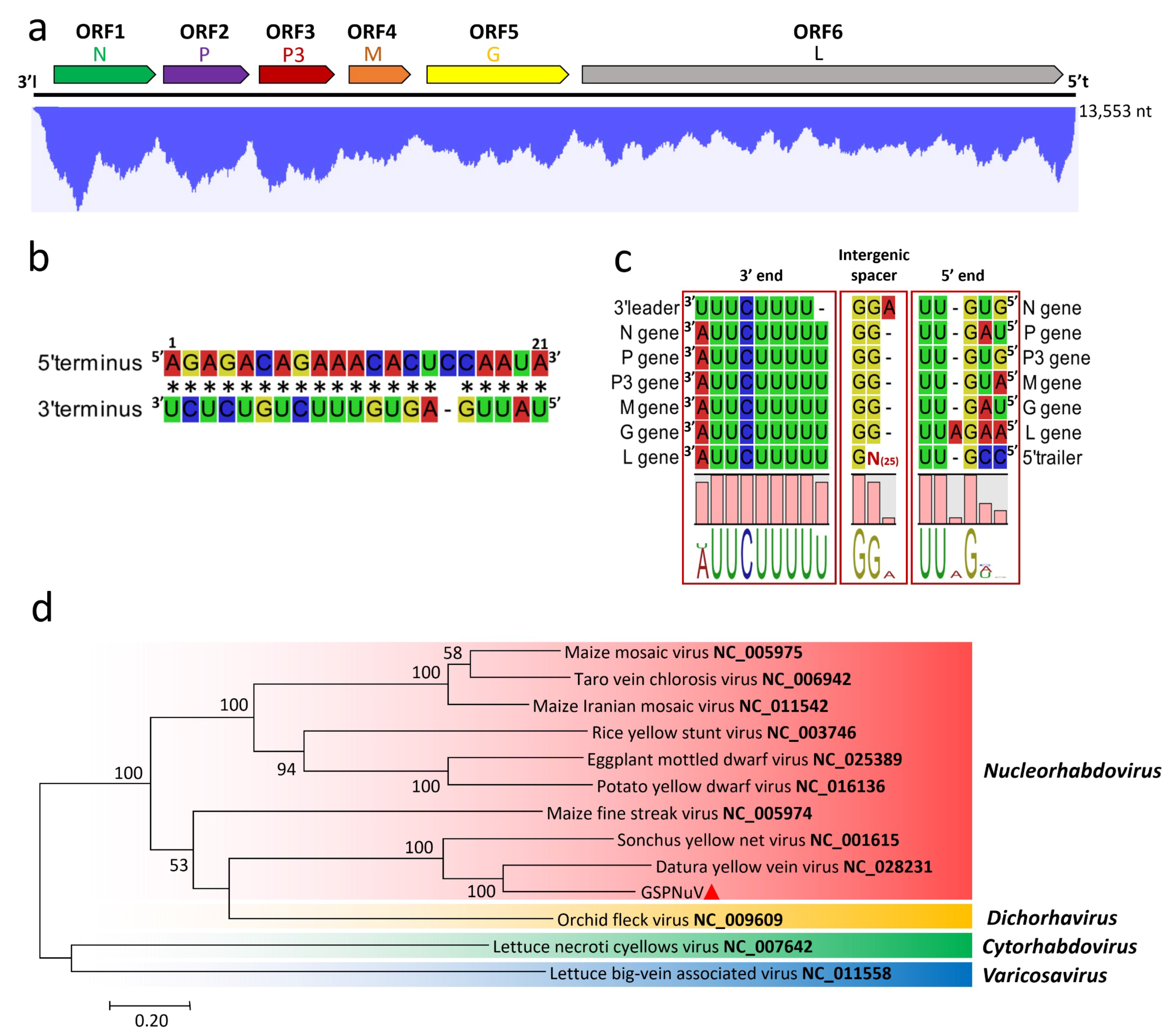 Viruses 11 00696 g005