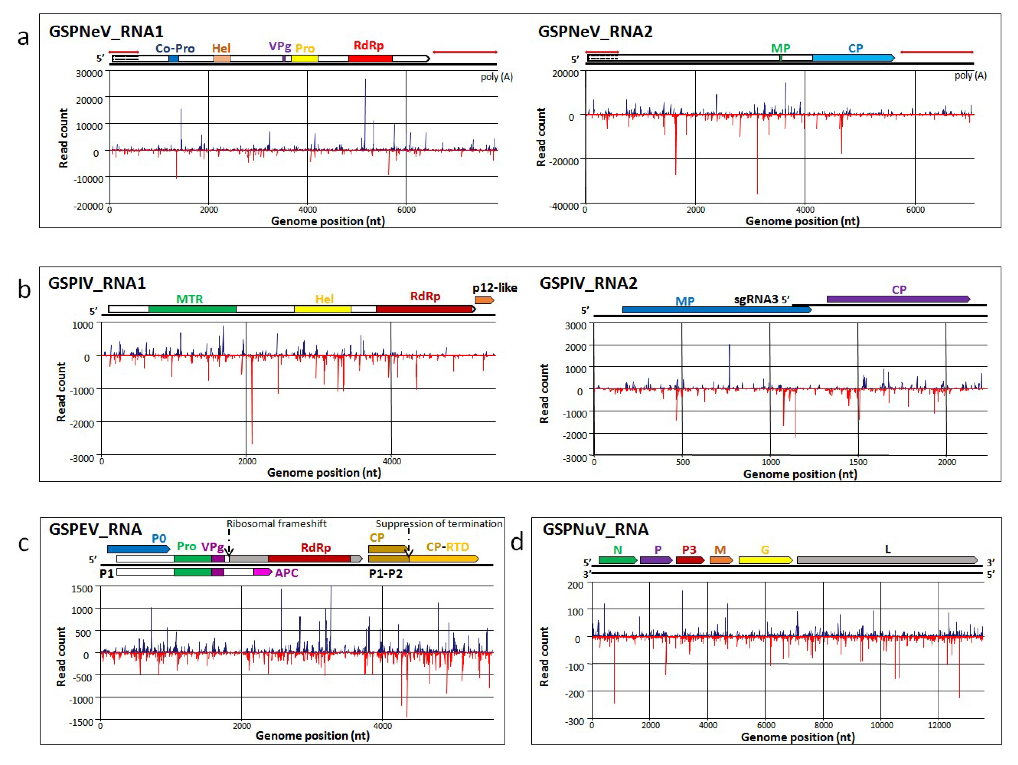 Viruses 11 00696 g006