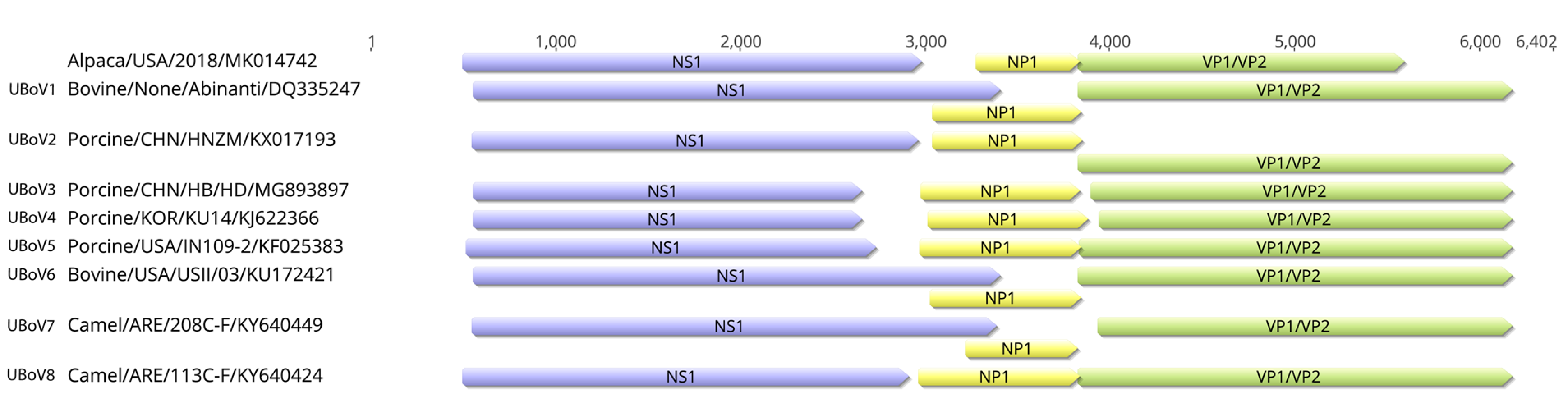 Viruses 11 00701 g002