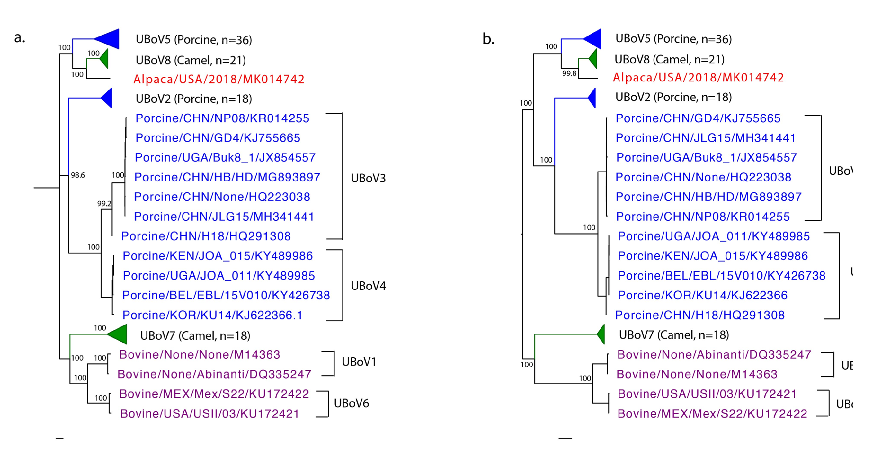 Viruses 11 00701 g003