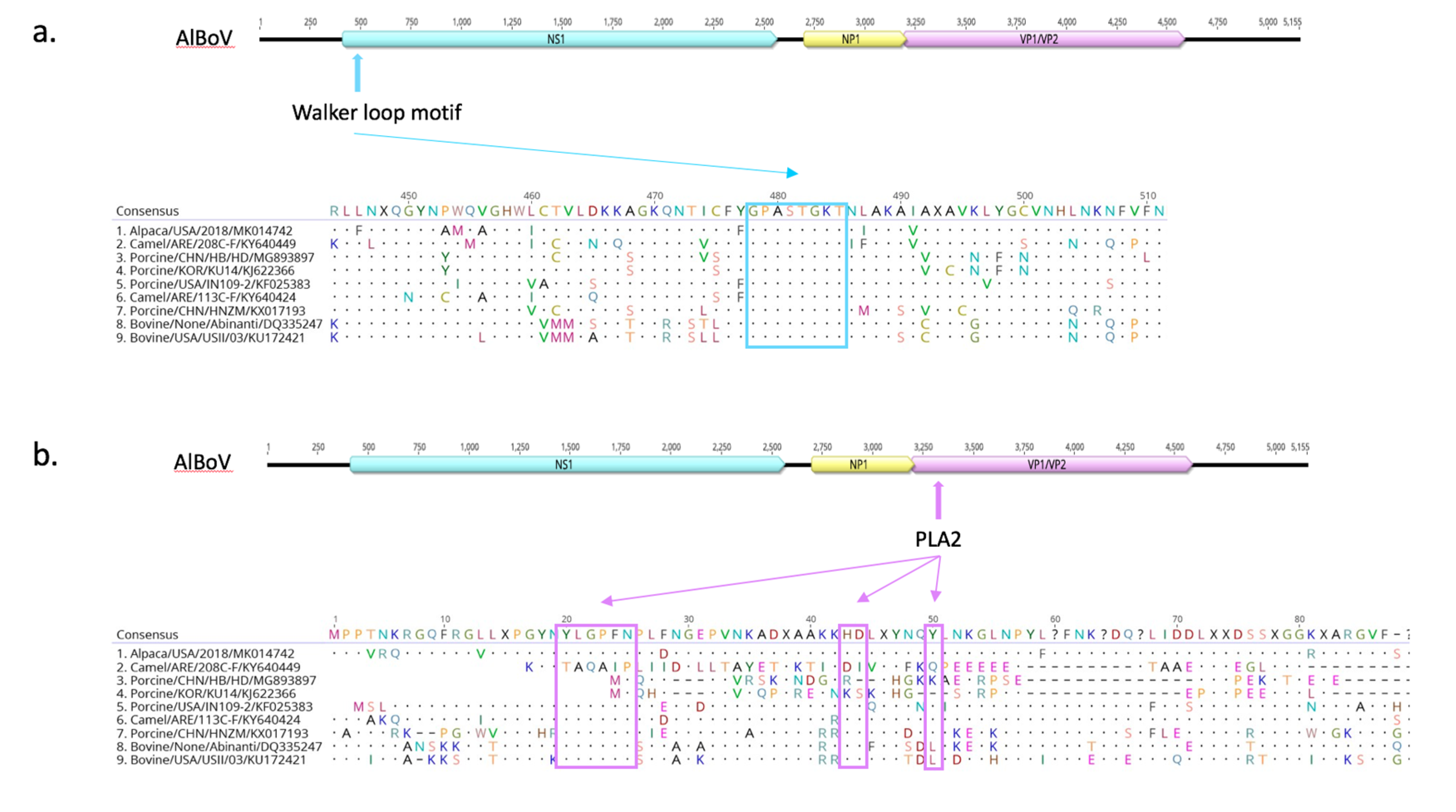 Viruses 11 00701 g004