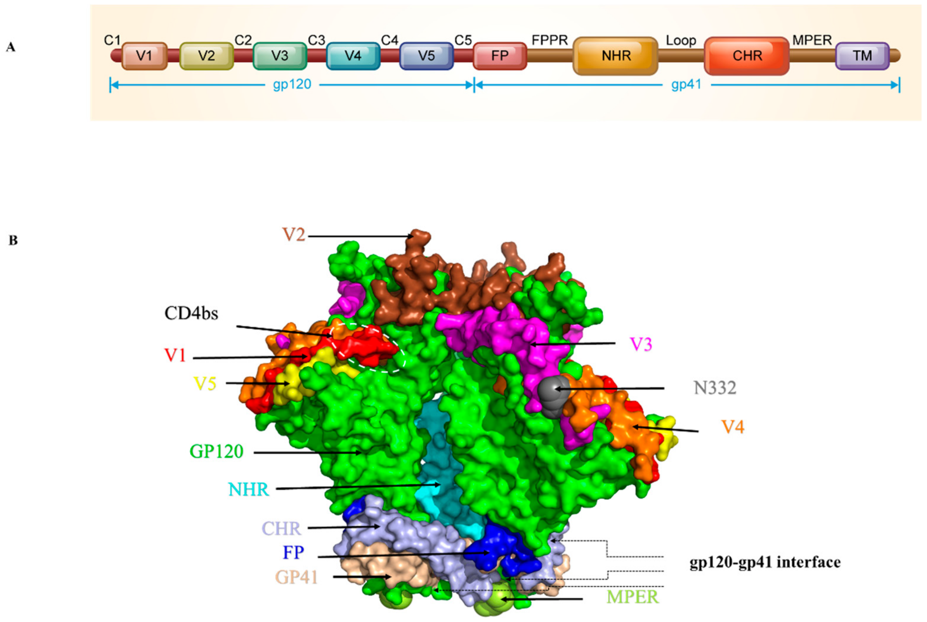Viruses 11 00705 g002