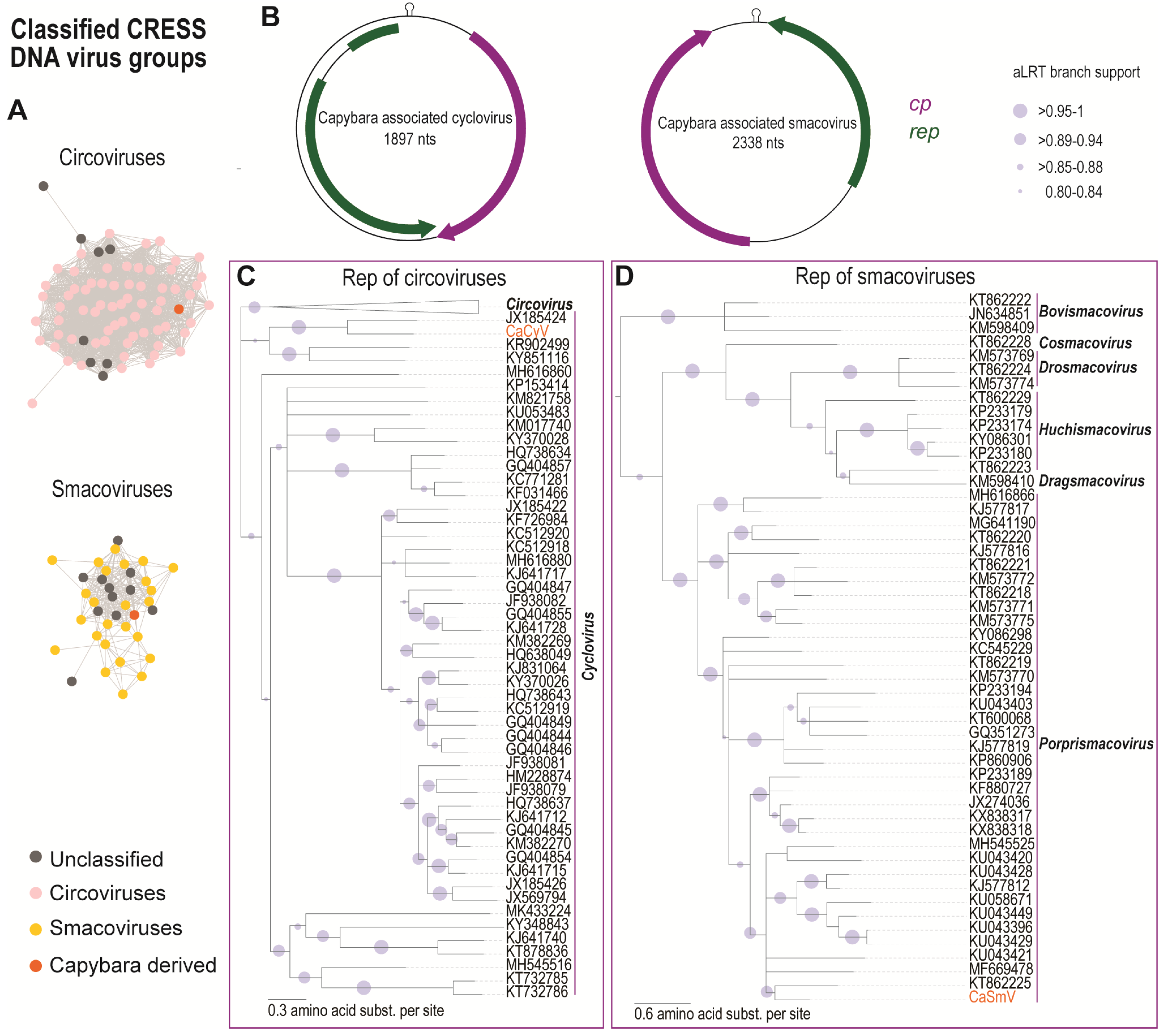 Viruses 11 00710 g003