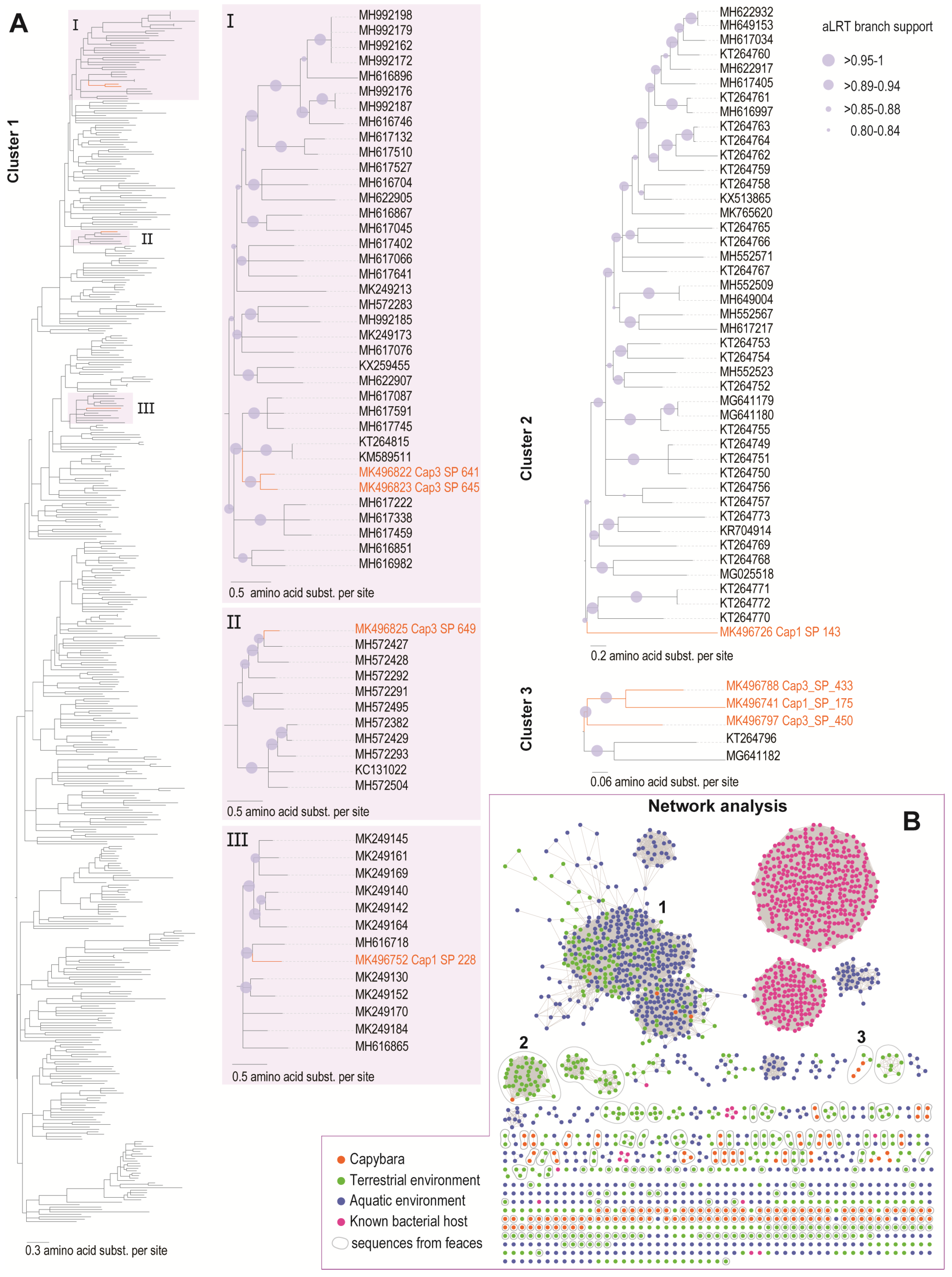 Viruses 11 00710 g005