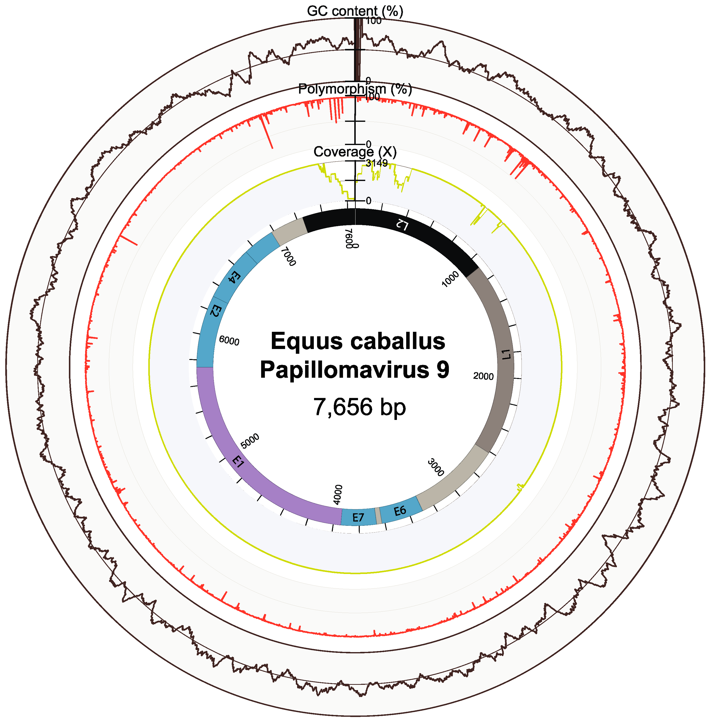 Viruses 11 00713 g001