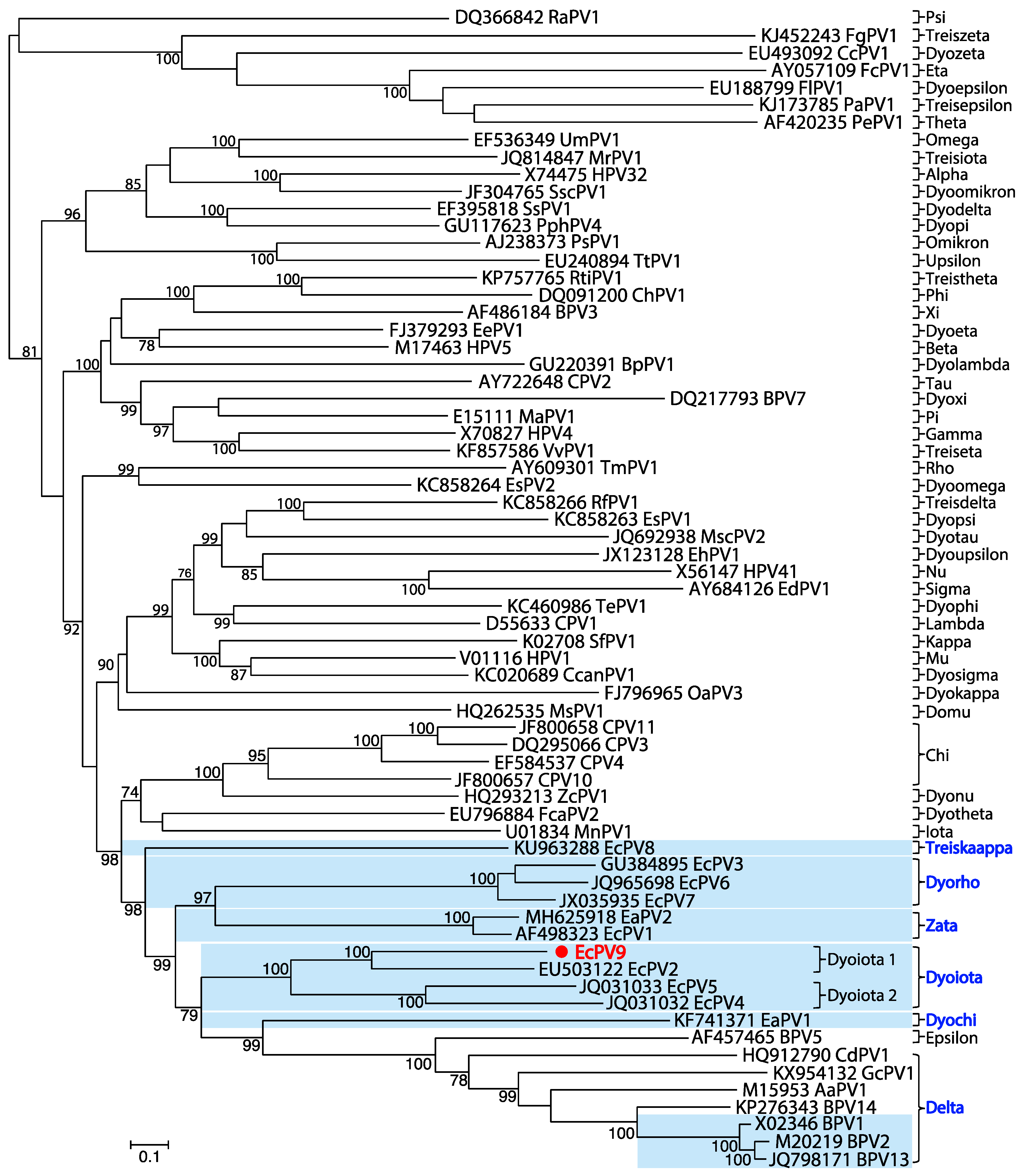Viruses 11 00713 g003