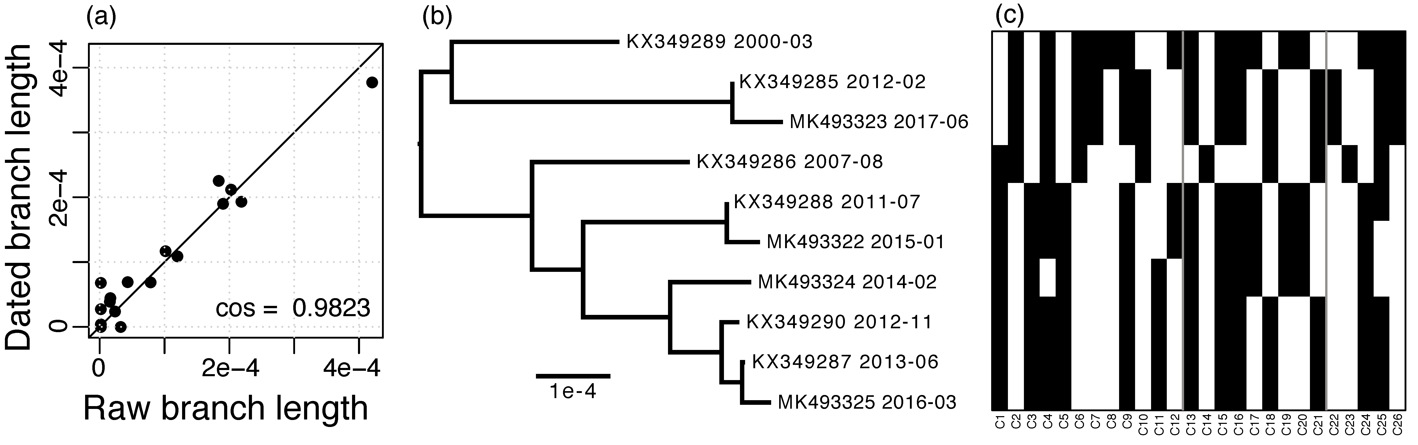 Viruses 11 00720 g002 Viruses 11 00720 g002