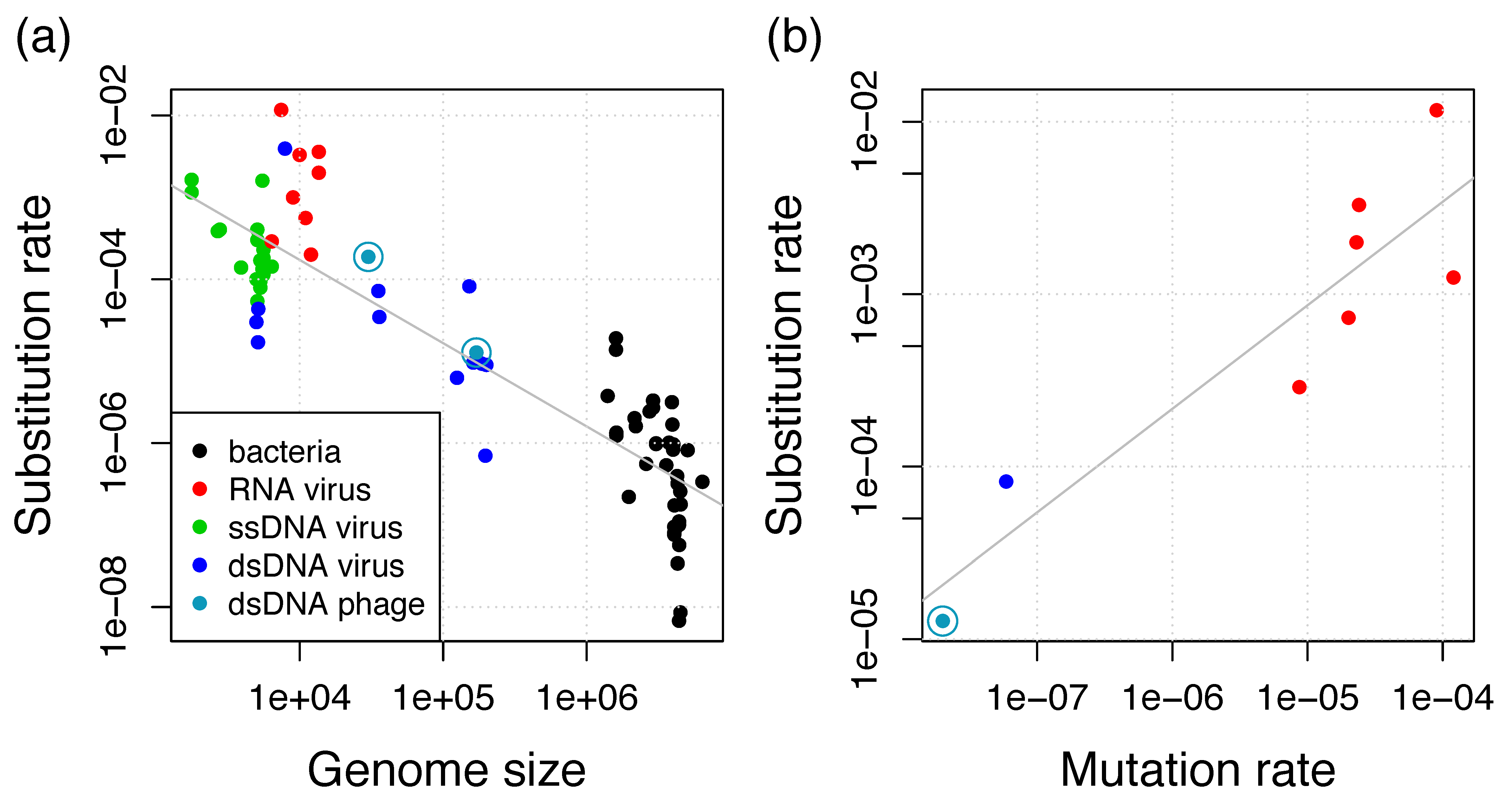 Viruses 11 00720 g005 Viruses 11 00720 g005