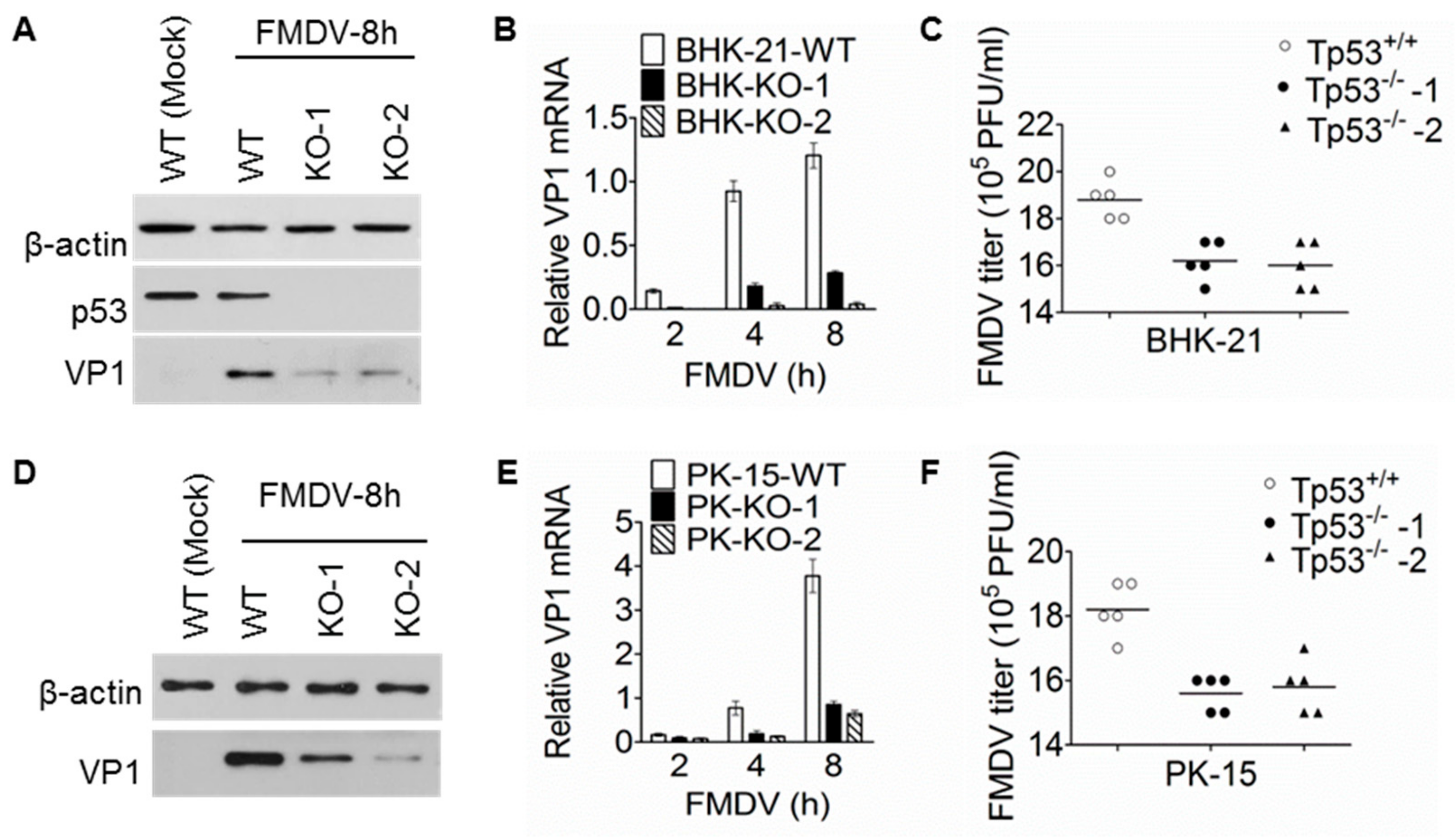Viruses 11 00727 g003 Viruses 11 00727 g003