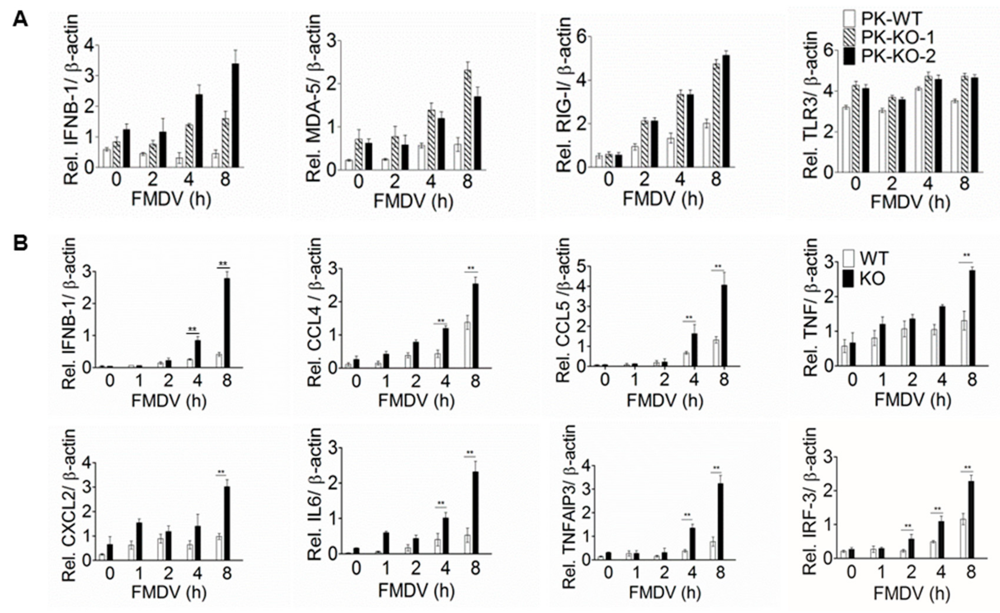 Viruses 11 00727 g004 Viruses 11 00727 g004