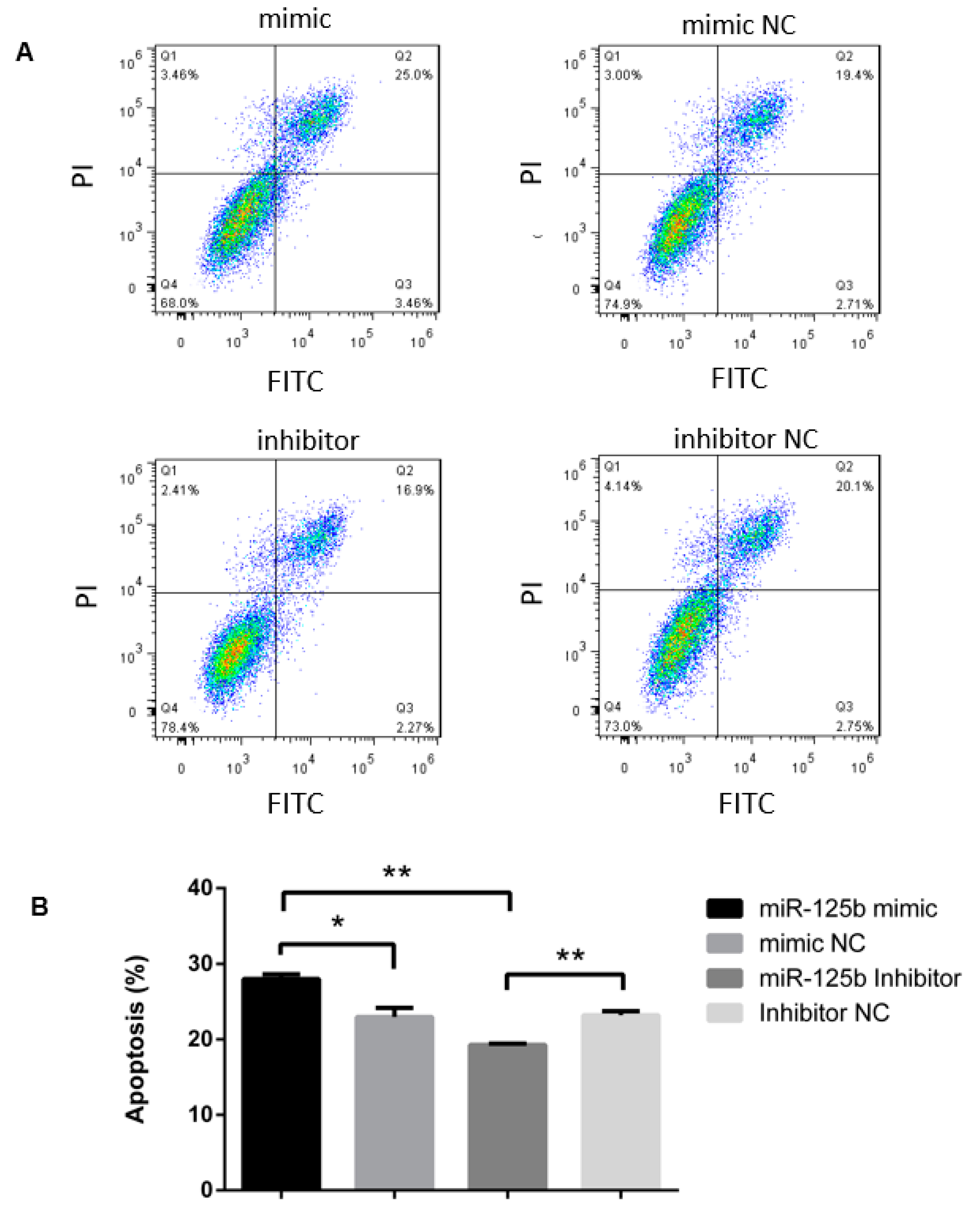 Viruses 11 00728 g001