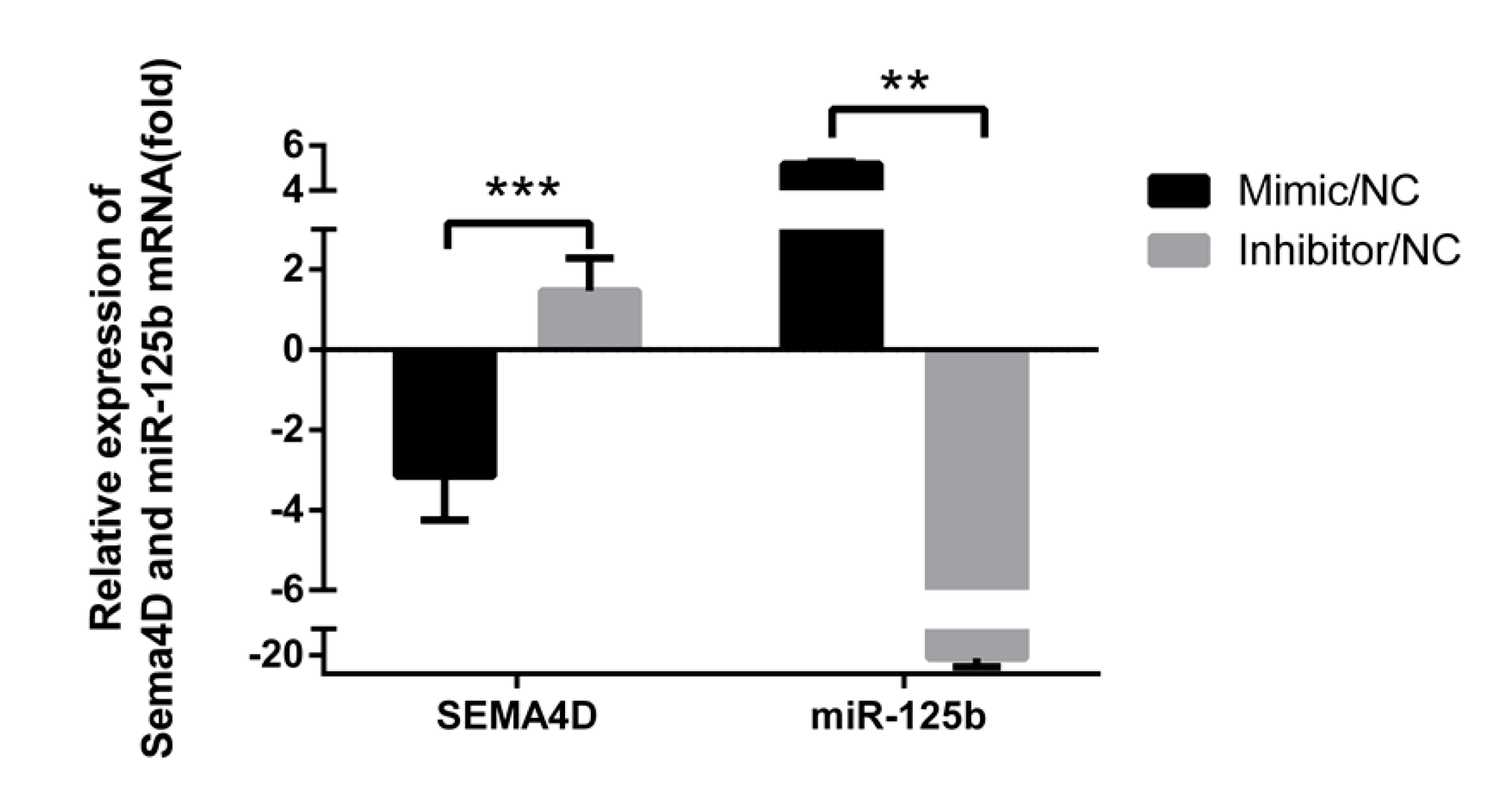 Viruses 11 00728 g003