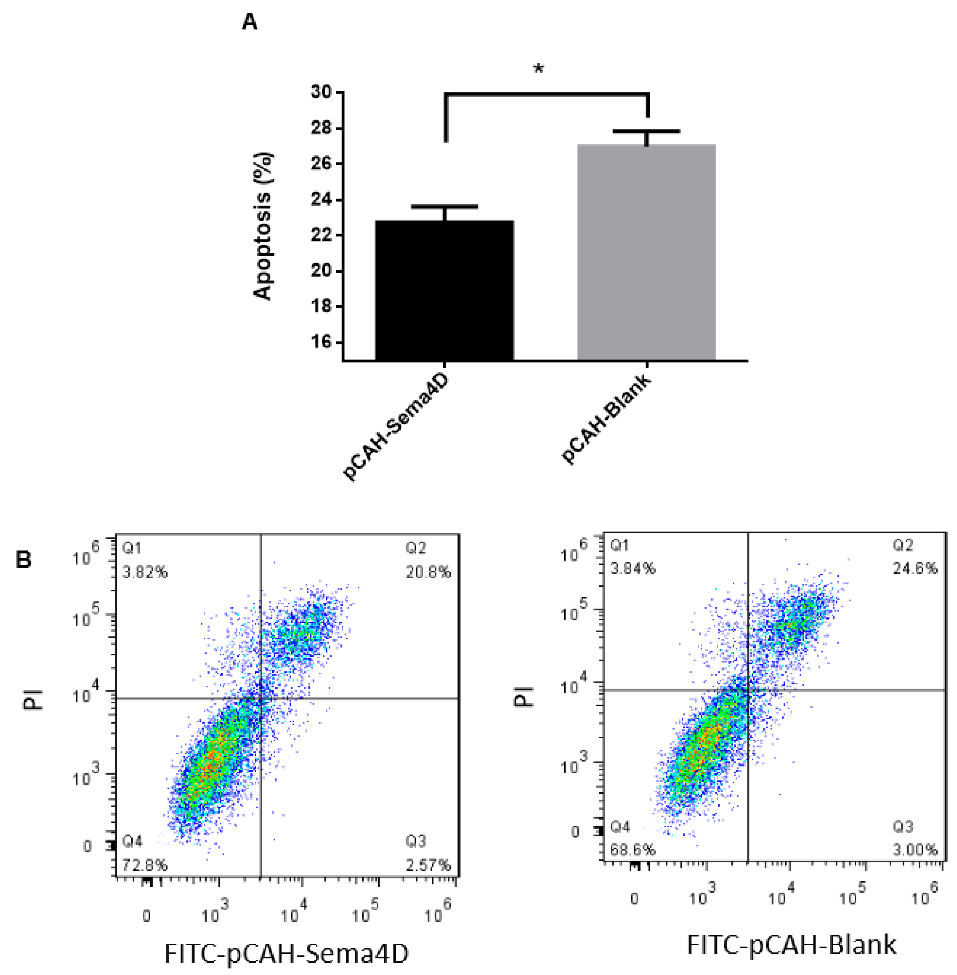 Viruses 11 00728 g005