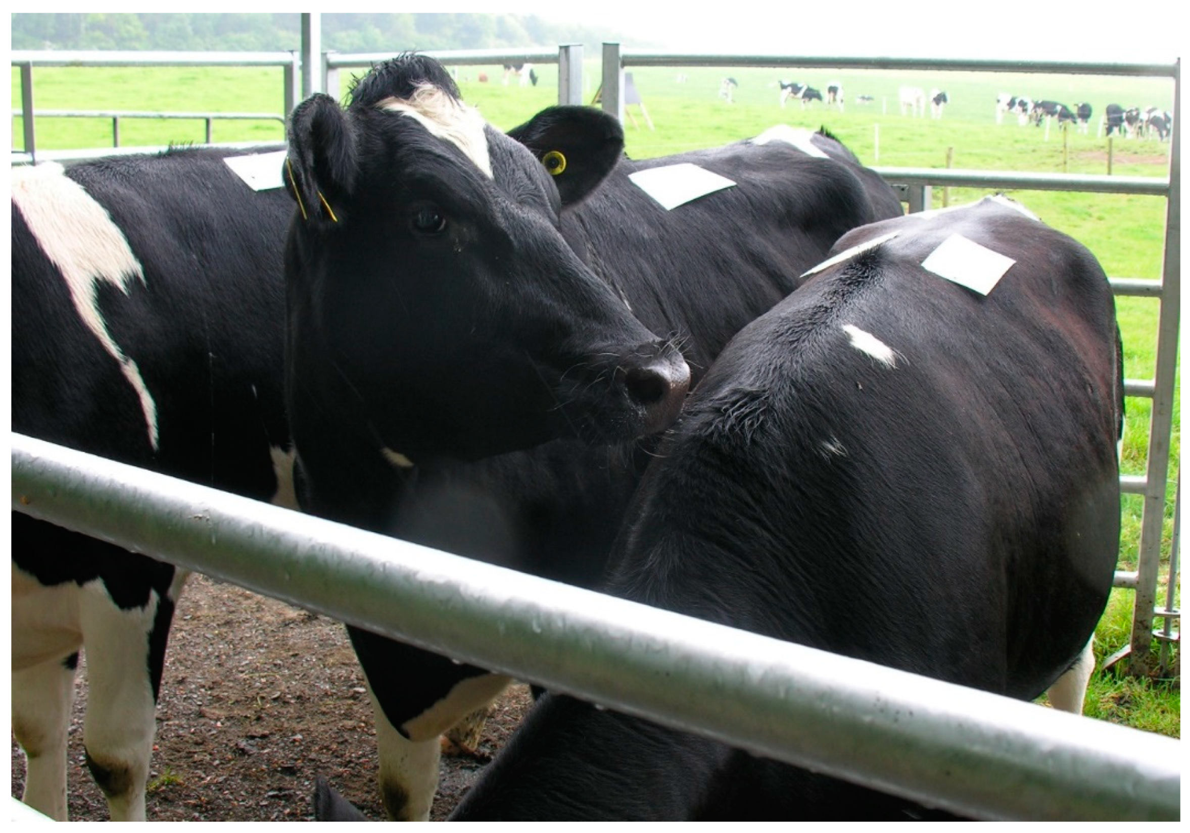 Viruses 11 00731 g001 Viruses 11 00731 g001