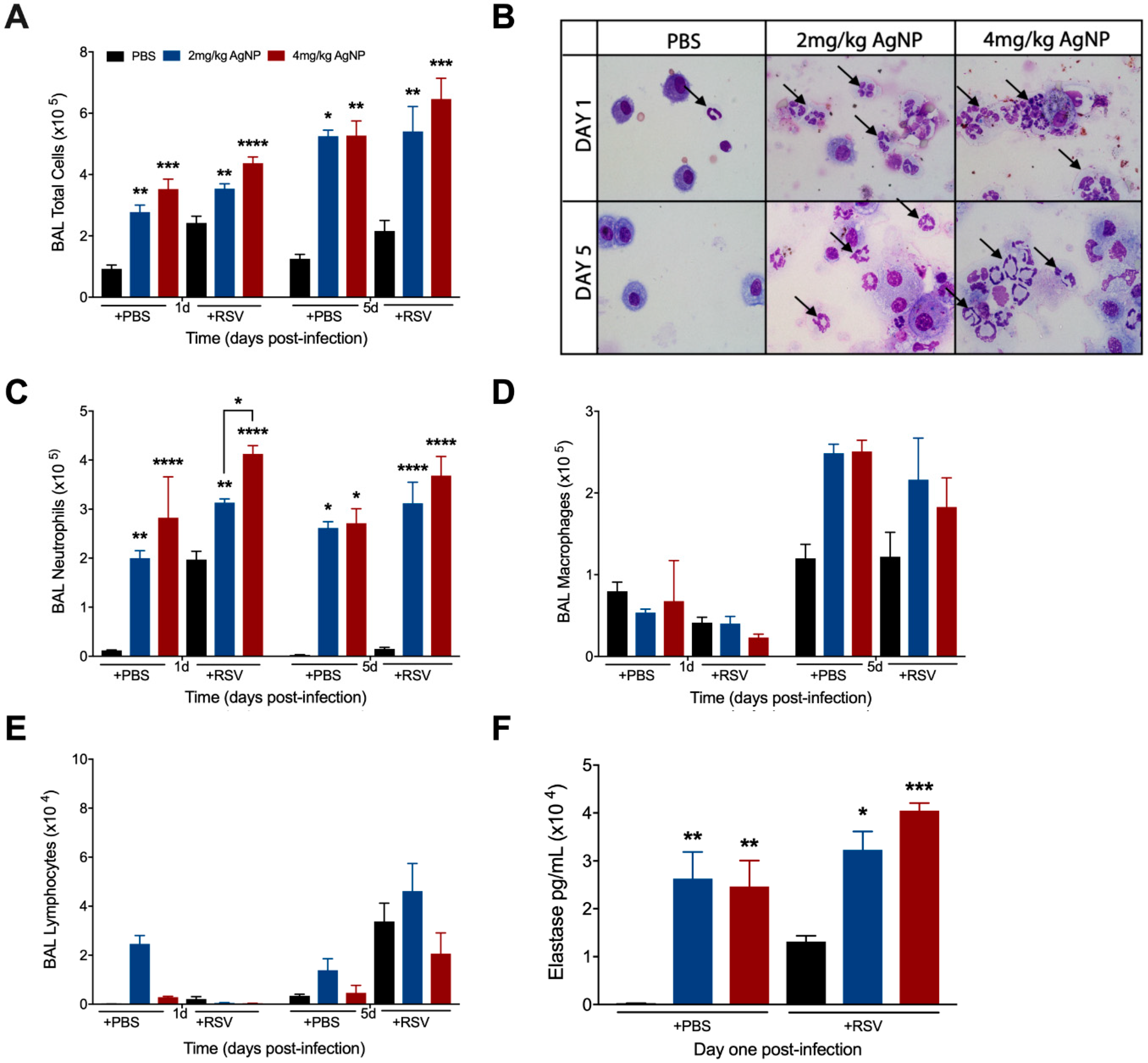 Viruses 11 00732 g004 Viruses 11 00732 g004