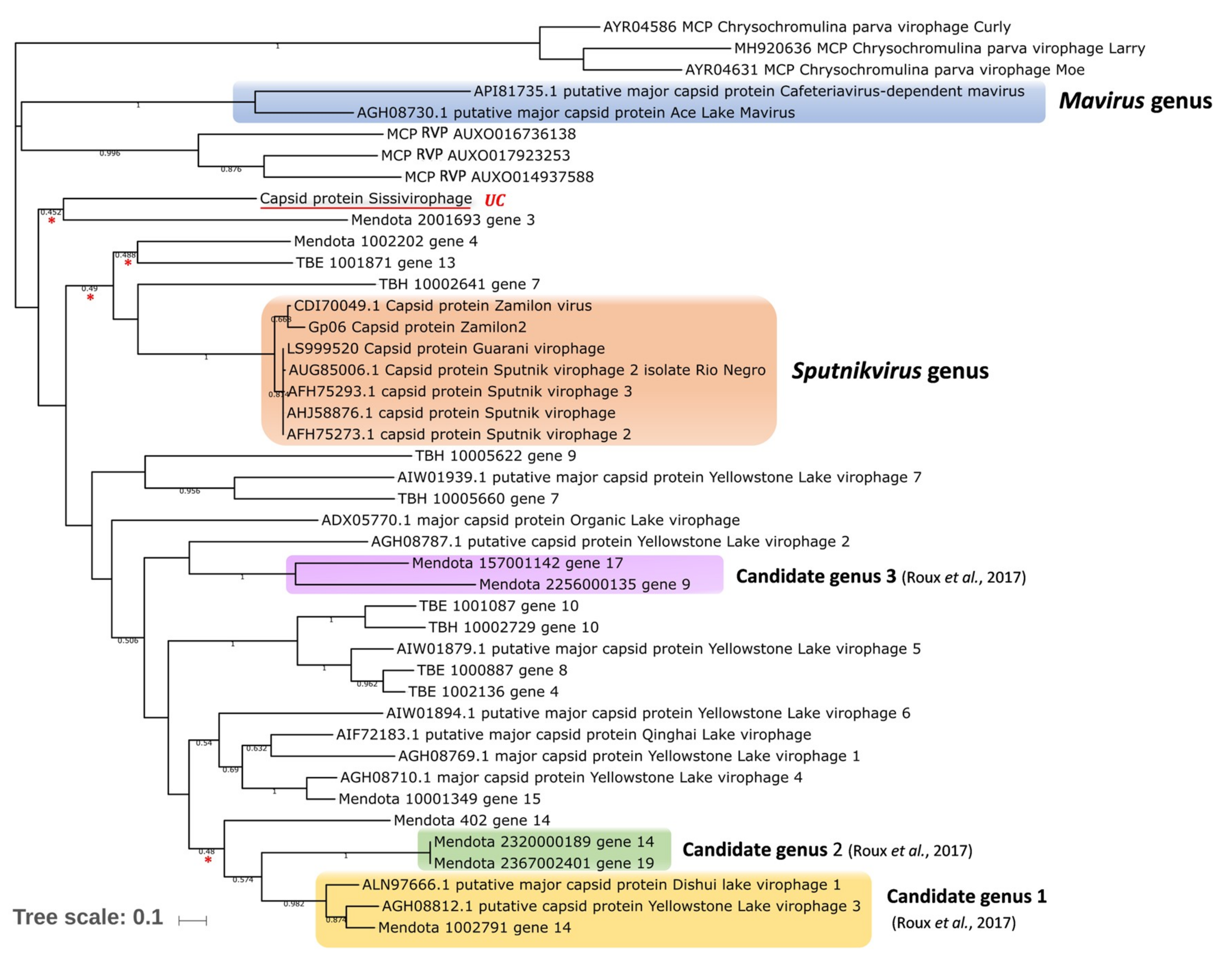 Viruses 11 00733 g002
