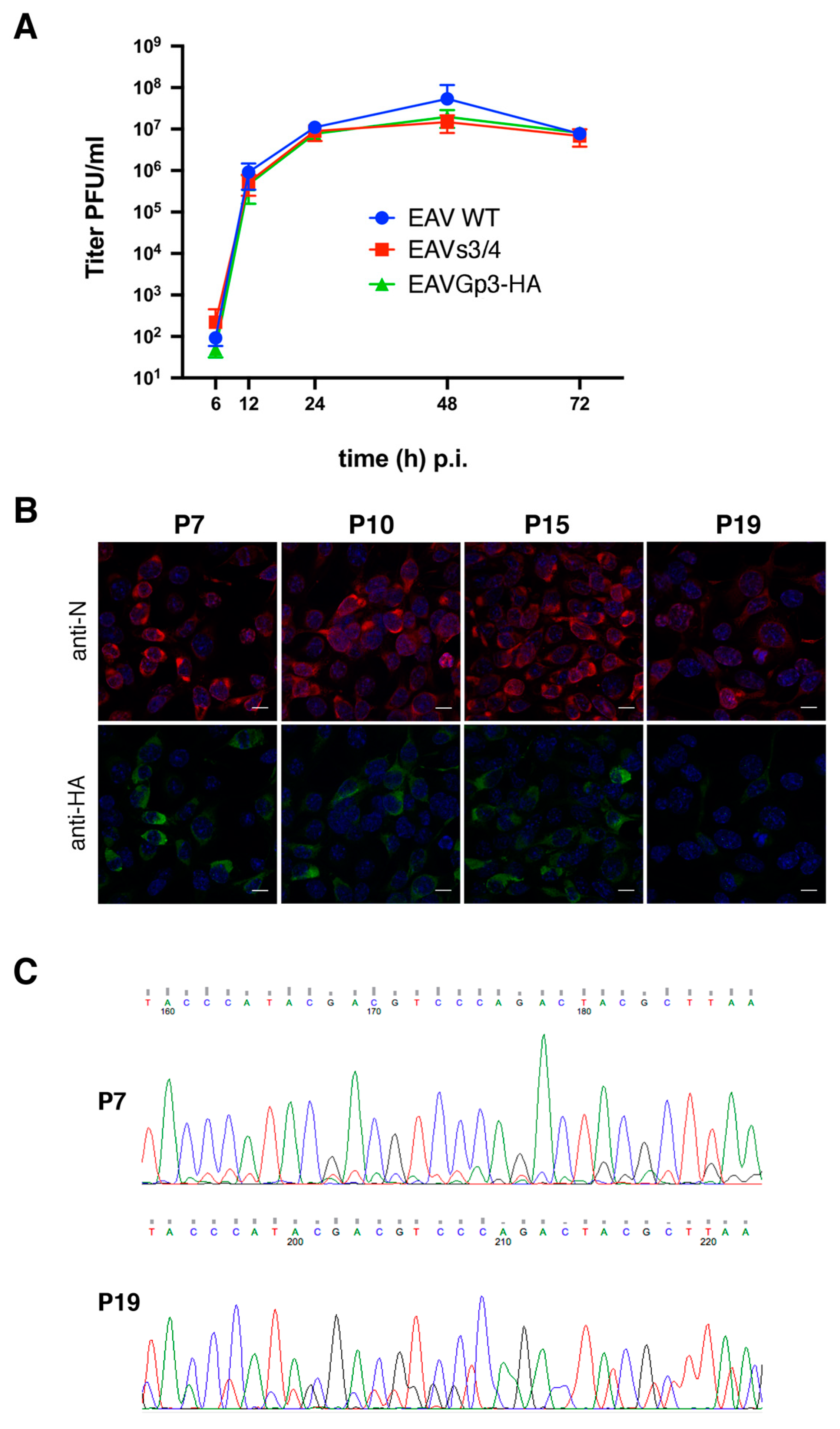 Viruses 11 00735 g002