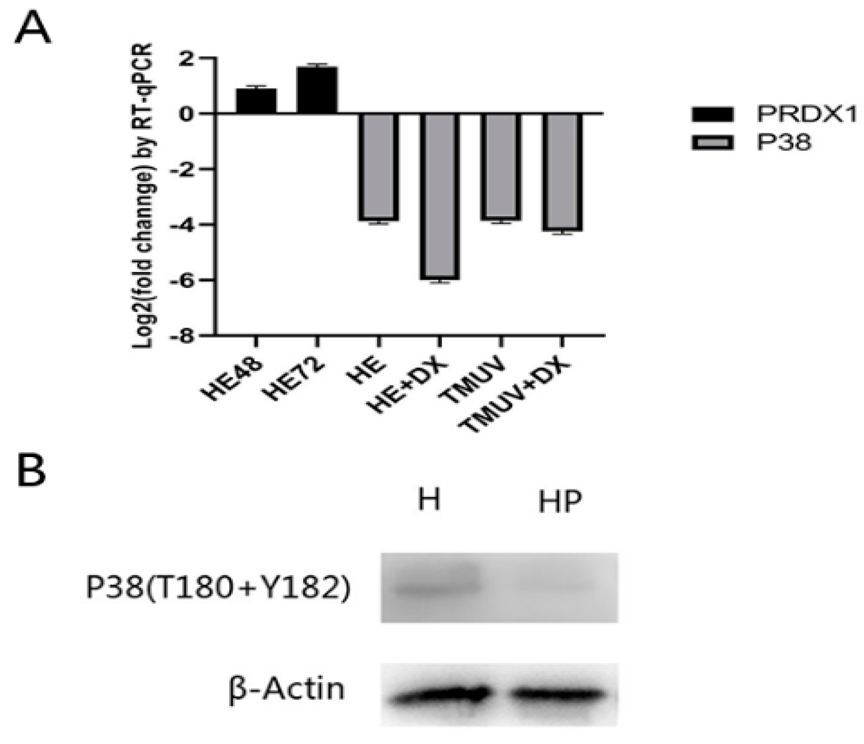 Viruses 11 00740 g009 Viruses 11 00740 g009