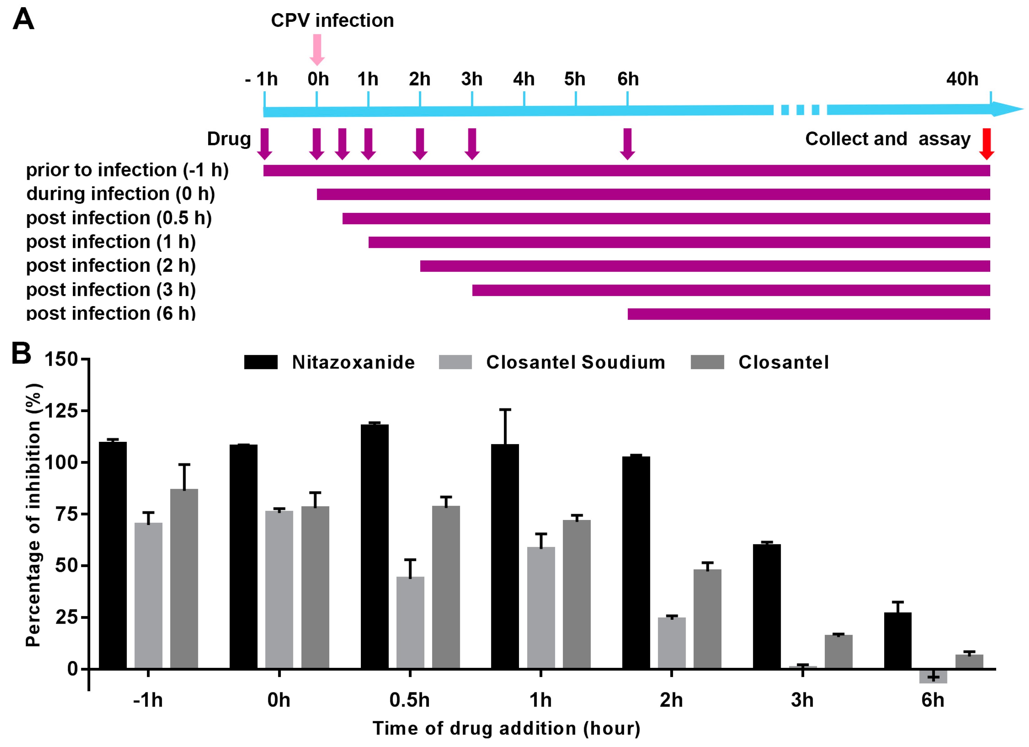 Viruses 11 00742 g005