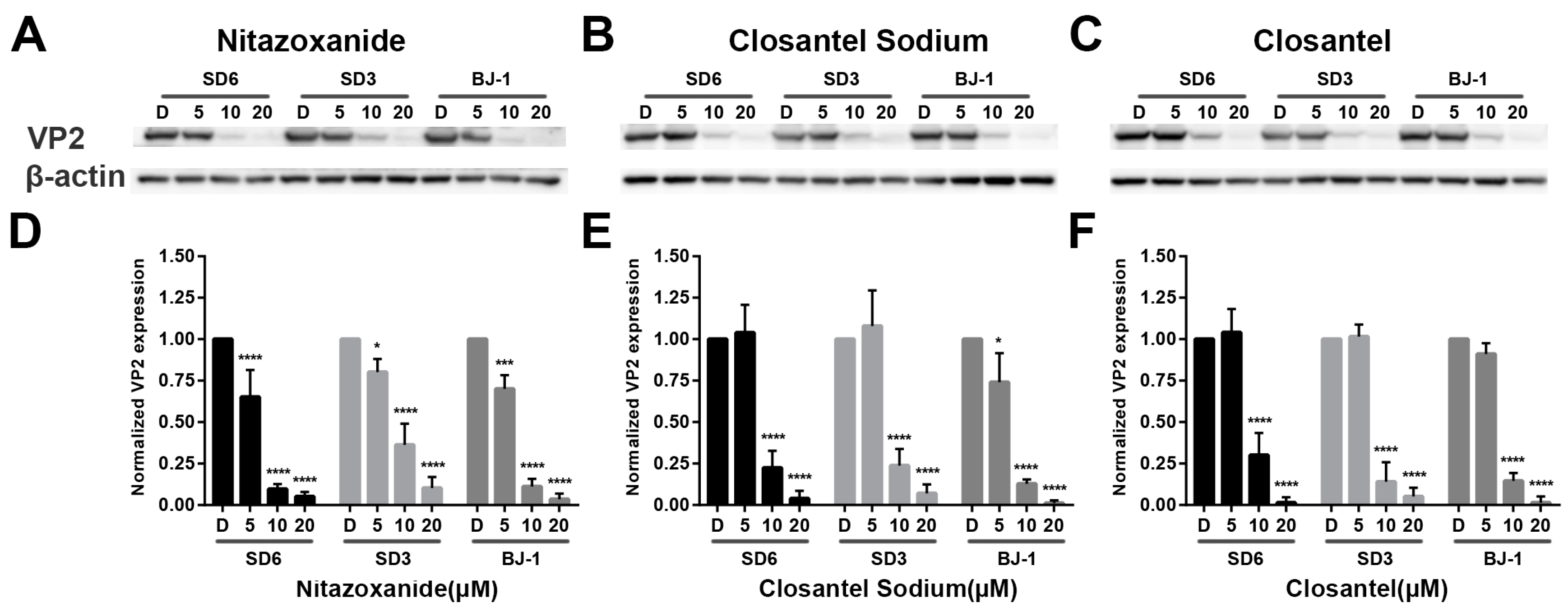 Viruses 11 00742 g006