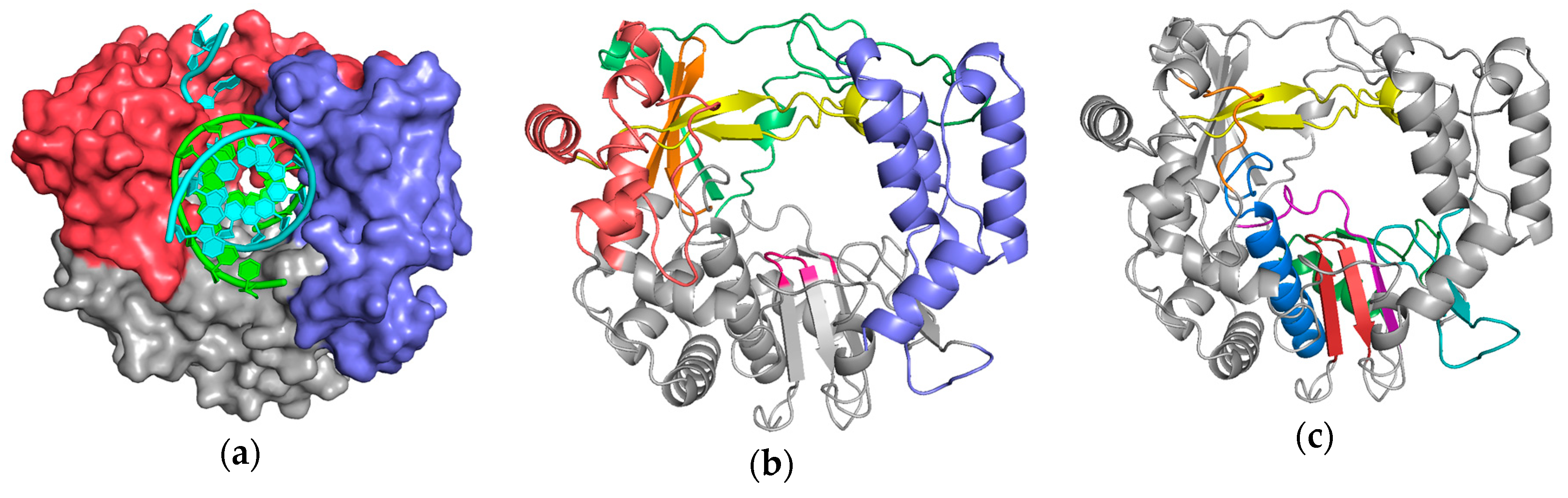 Viruses 11 00745 g001