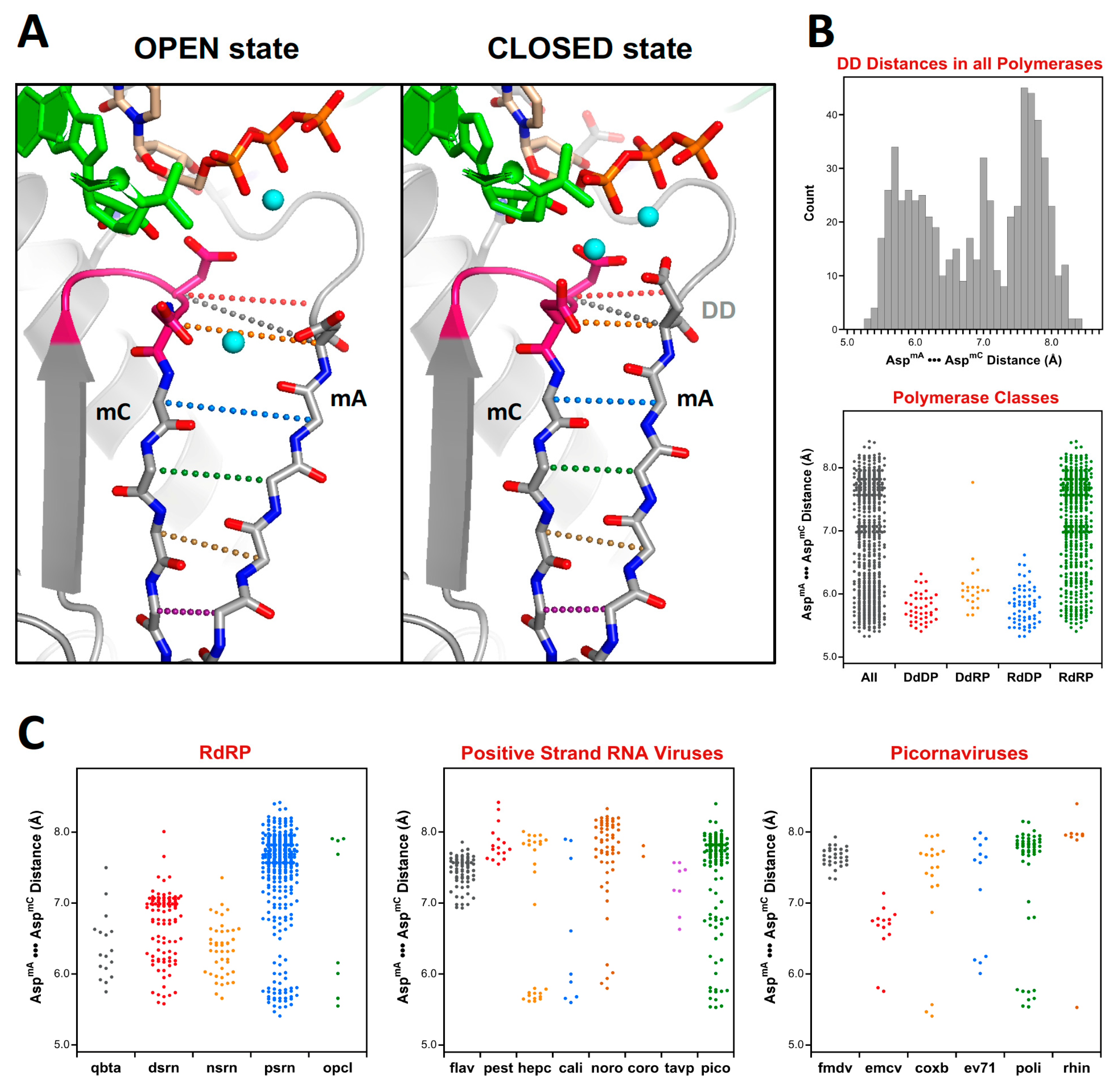 Viruses 11 00745 g011