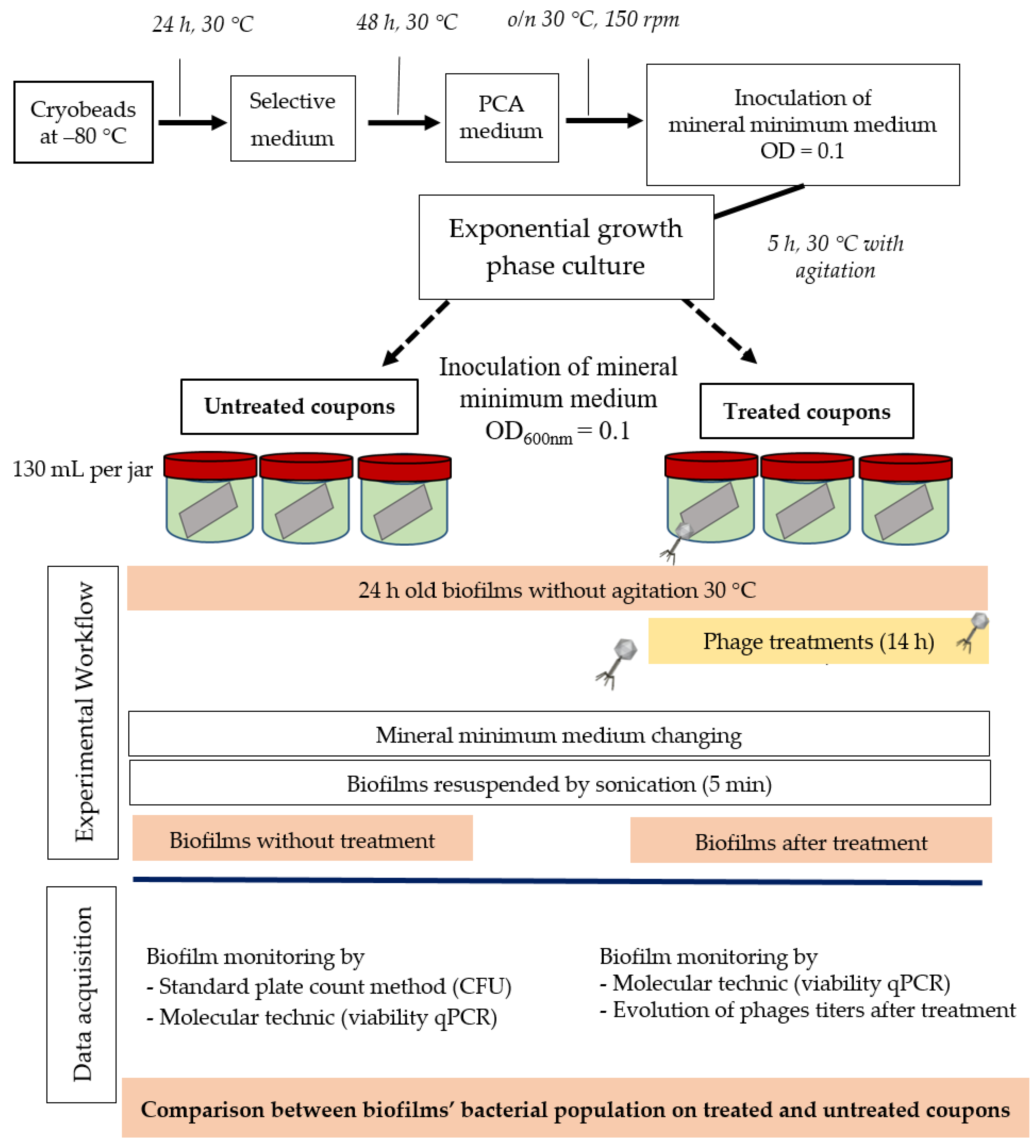 Viruses 11 00749 g001